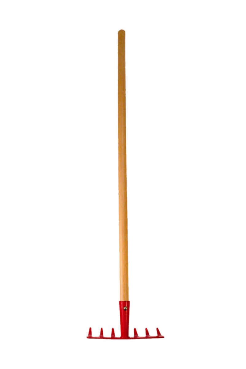 Buddy B Kids Level Head Rake with 30" Hardwood Handle