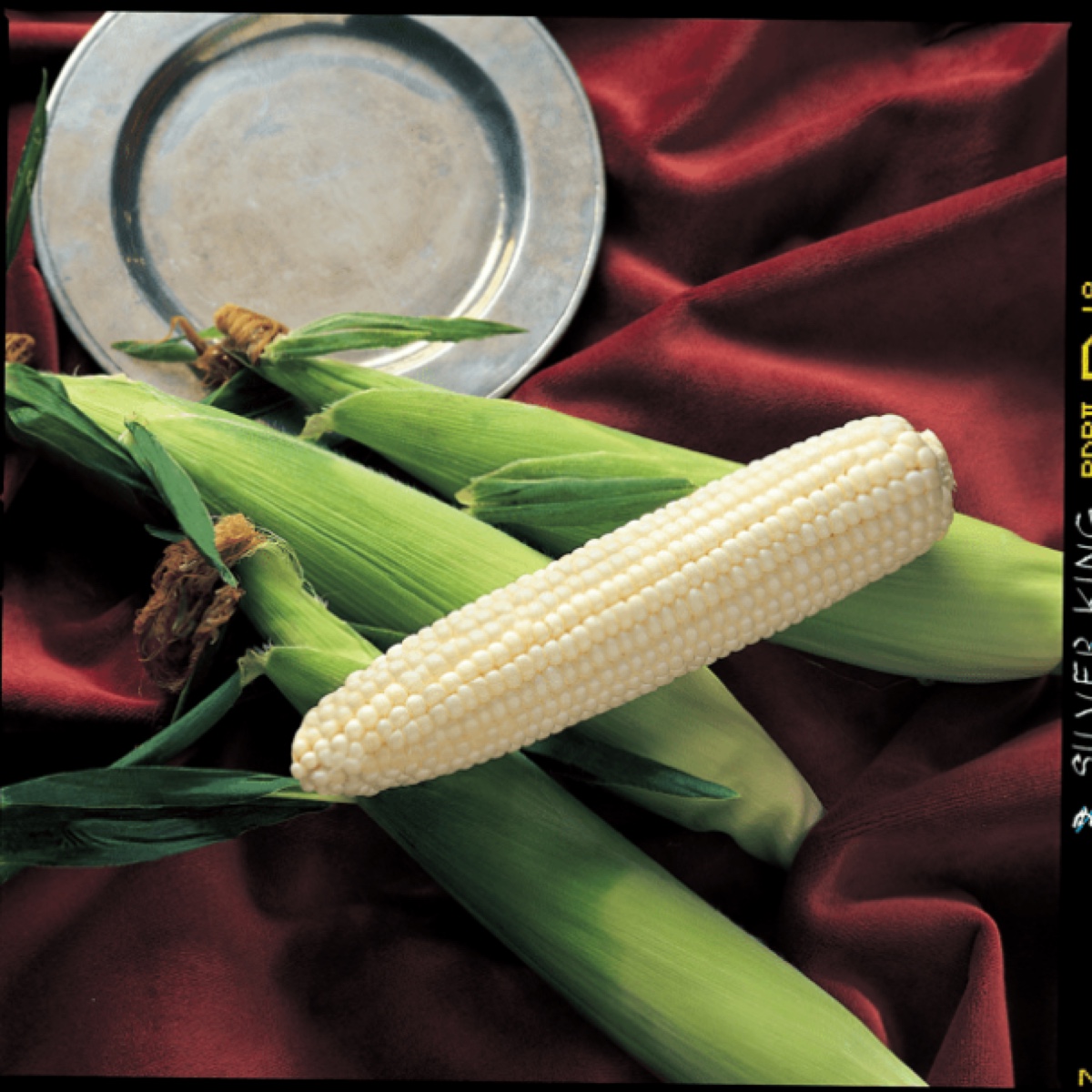 Corn, Silver King 100 KS Bag