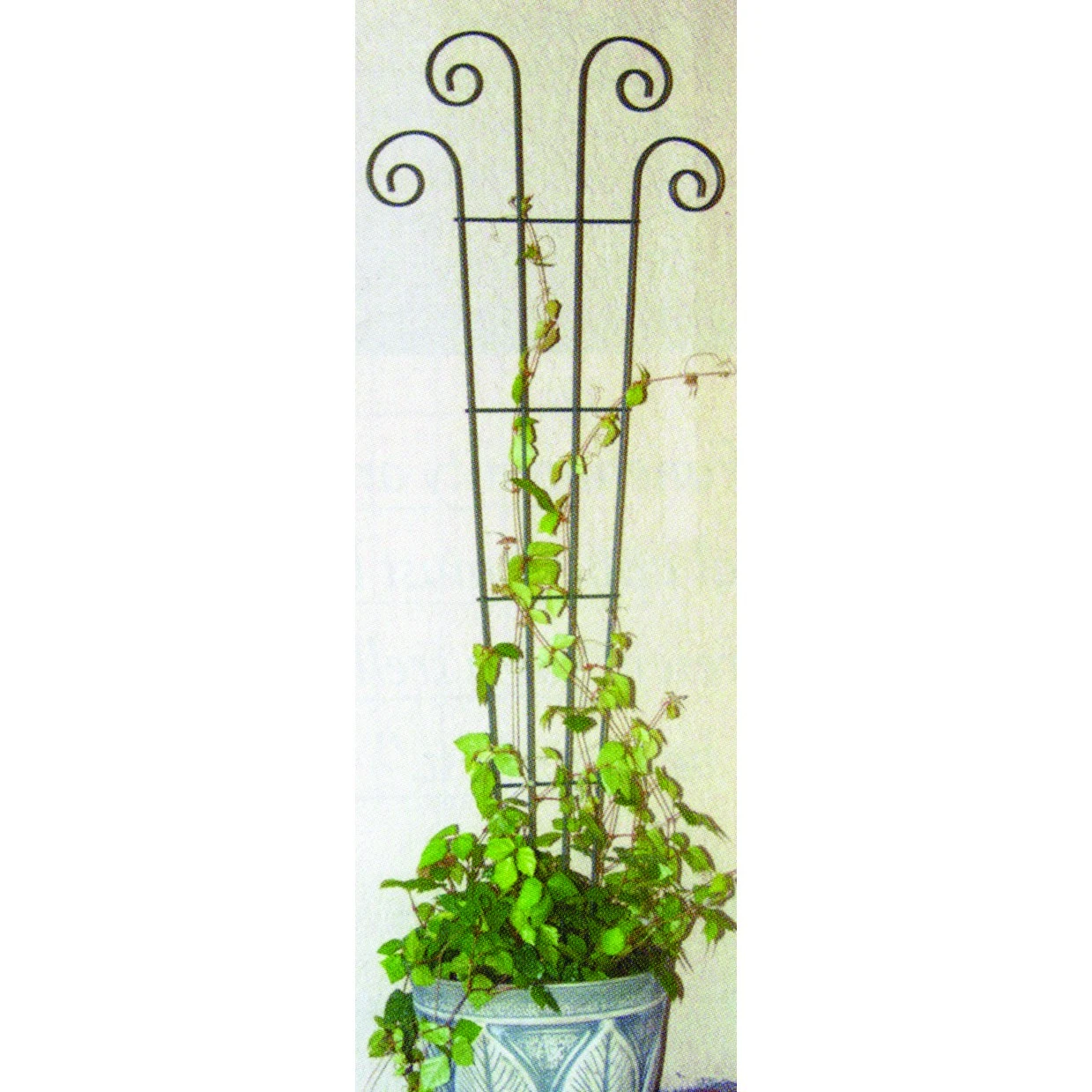 PANACEA PRODUCTS Panacea 48" Green Wave Pot Trellis — Single Unit