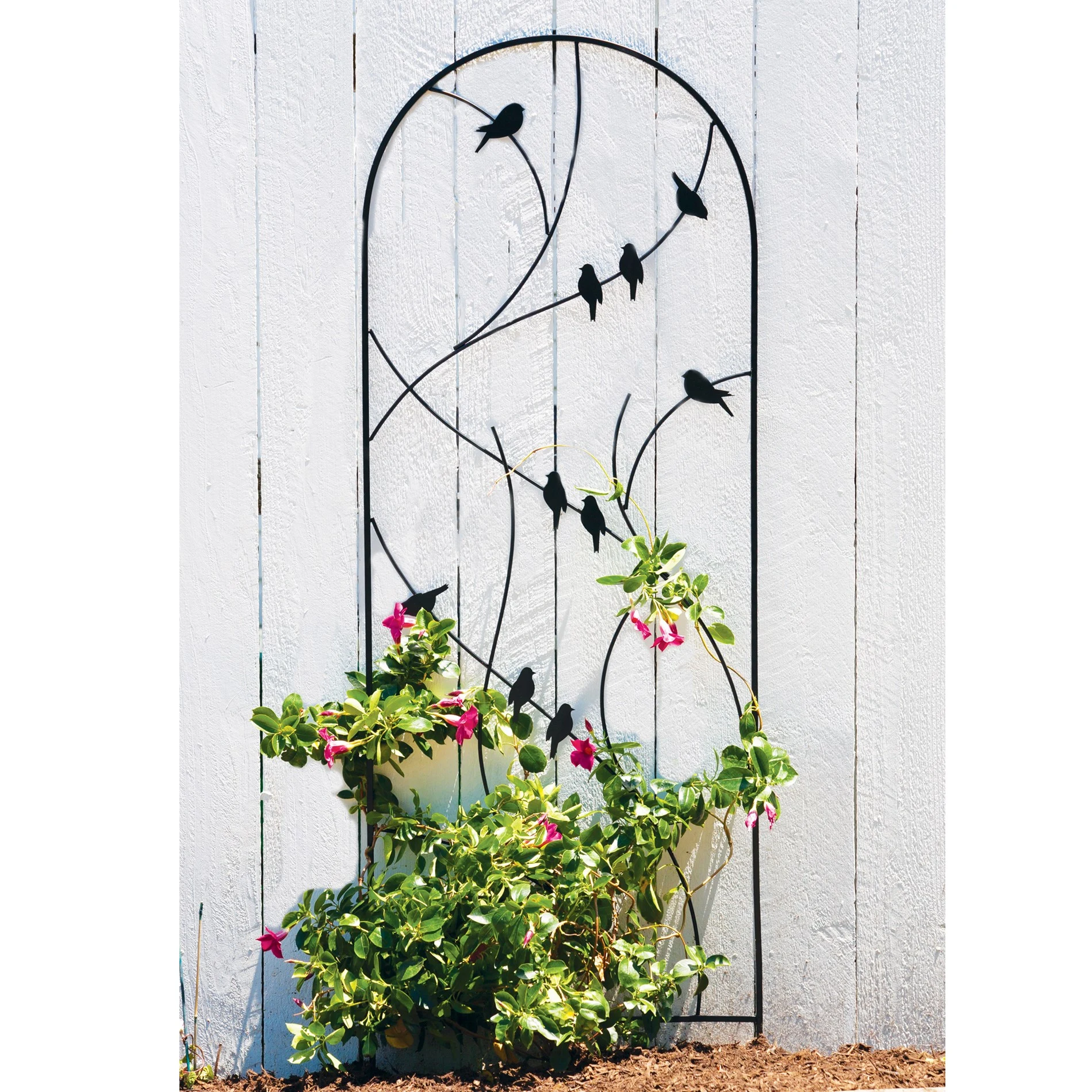 PANACEA PRODUCTS Panacea 72" Perched Bird Trellis Black — Single Unit