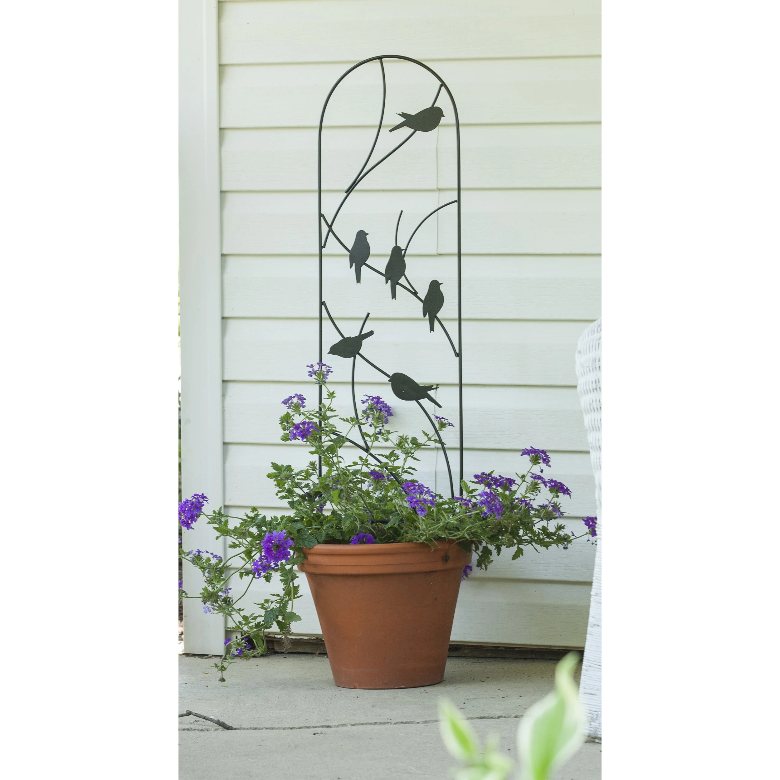 PANACEA PRODUCTS Panacea 40" Perched Bird Pot Trellis Black — Single Unit