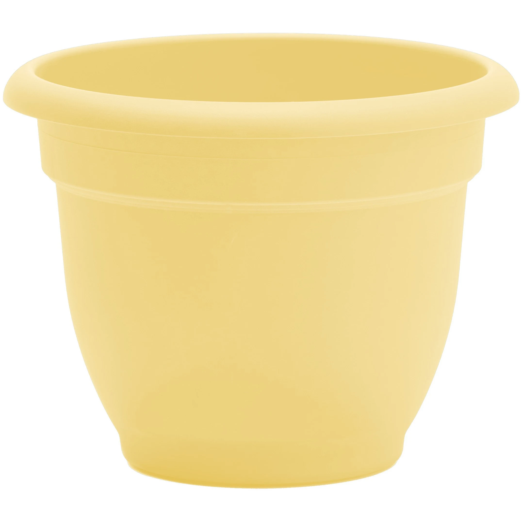 BLOEM, LLC Bloem 8" Ariana Planter Daffodil — Single Unit