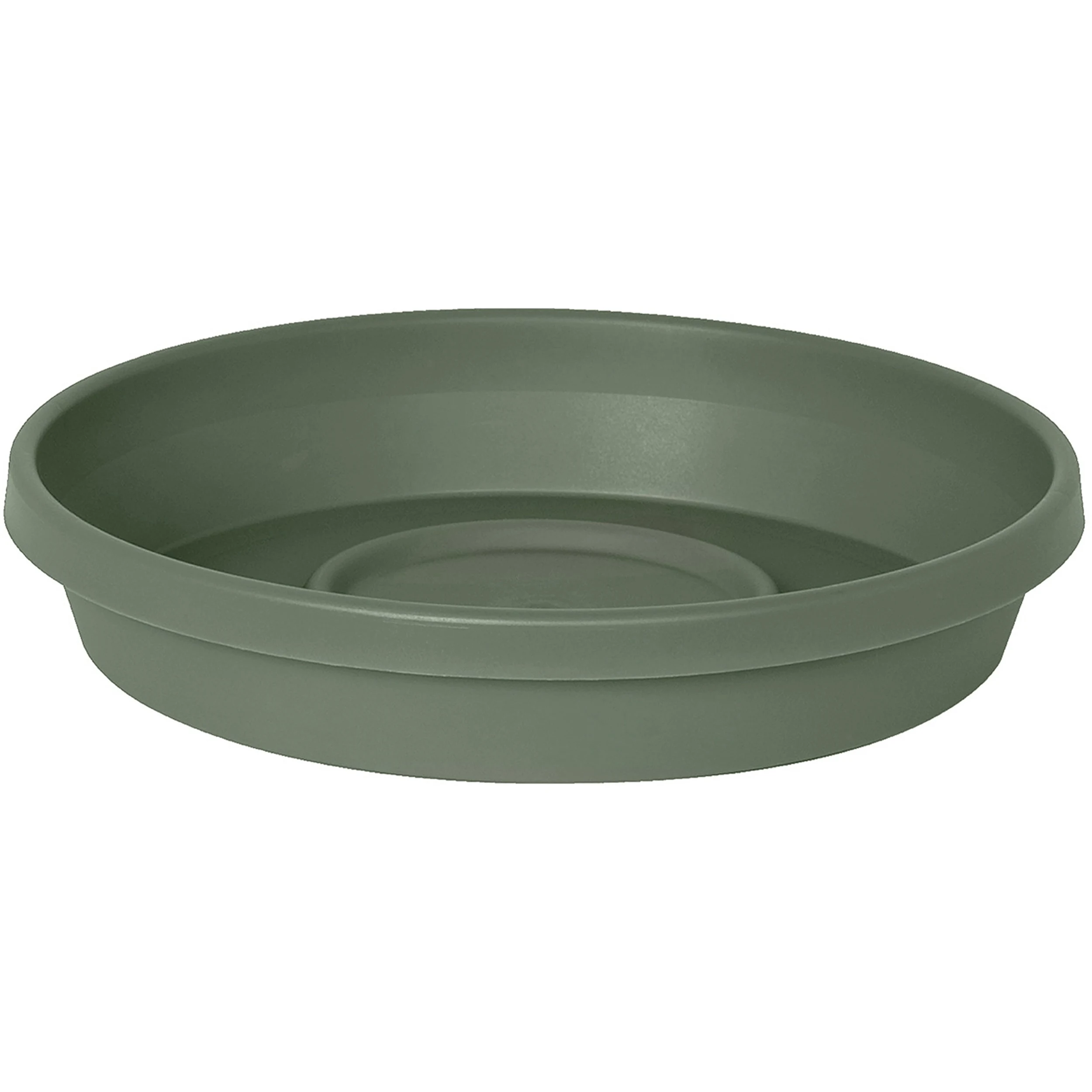 BLOEM, LLC Bloem 10" Terra Saucer Basil — Single Unit