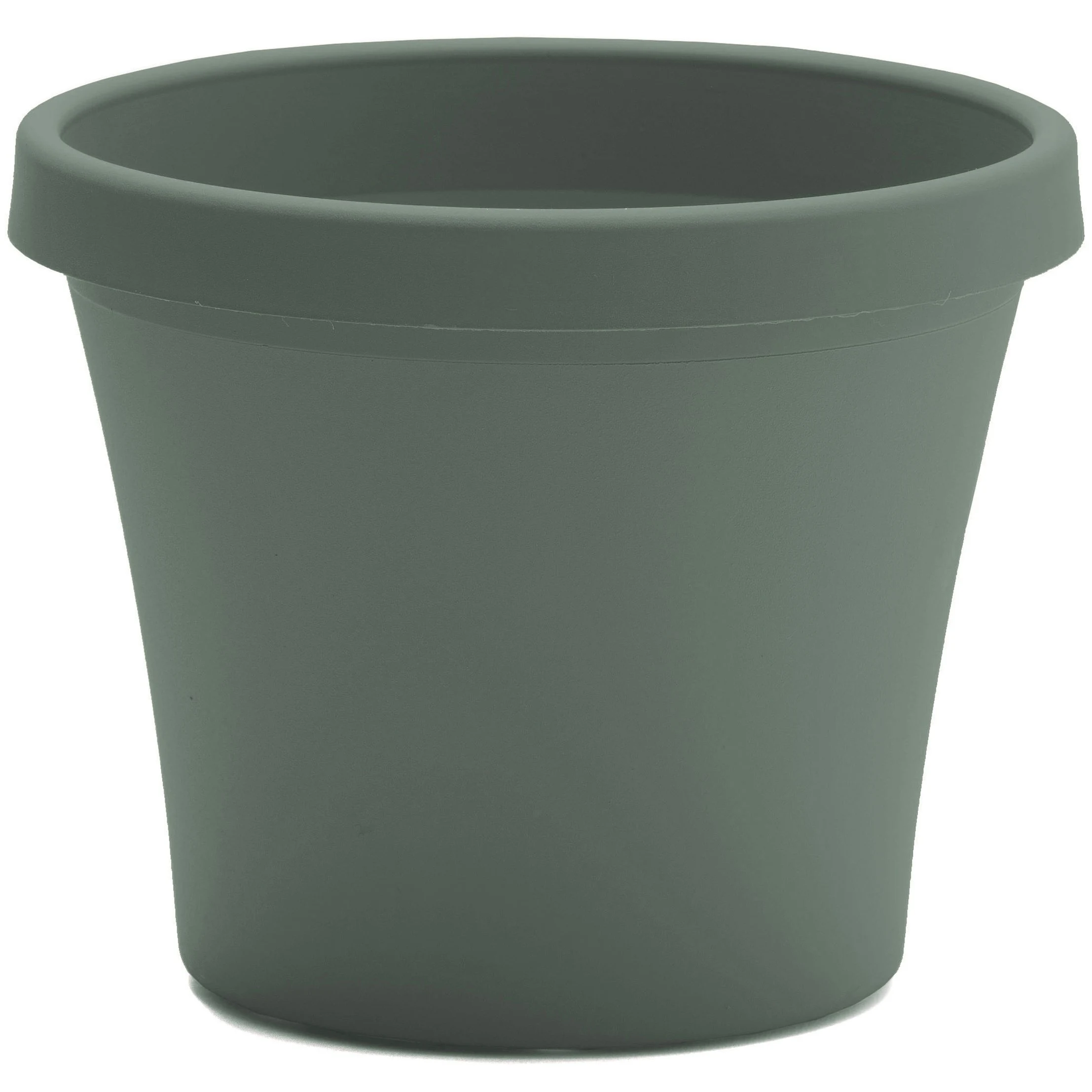 BLOEM, LLC Bloem 12" Terra Planter Basil — Single Unit