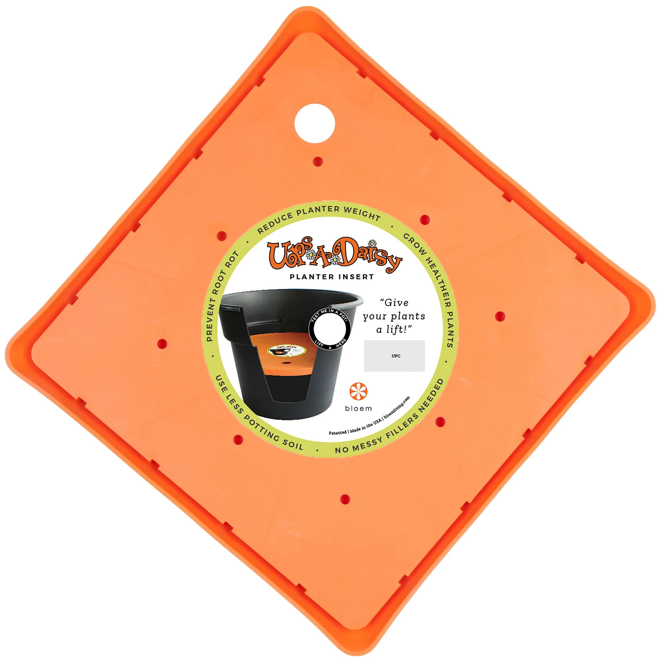 BLOEM, LLC Bloem 13" Square Ups A Daisy — Single Unit