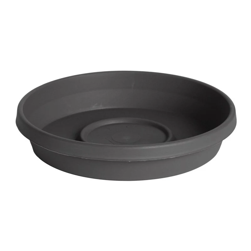 BLOEM, LLC Bloem 6" Terra Saucer Charcoal — Single Unit