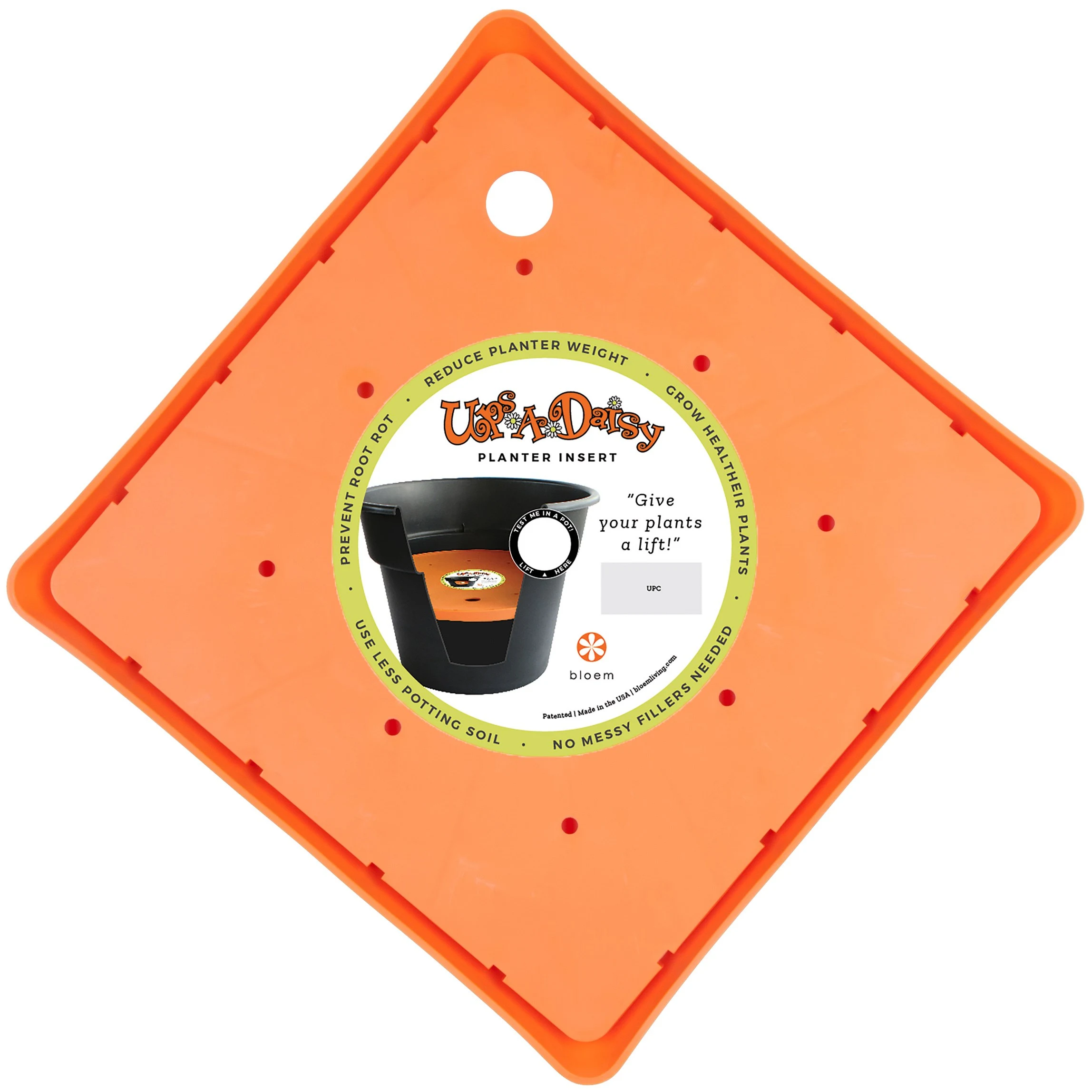 BLOEM, LLC Bloem 15" Square Ups A Daisy — Single Unit
