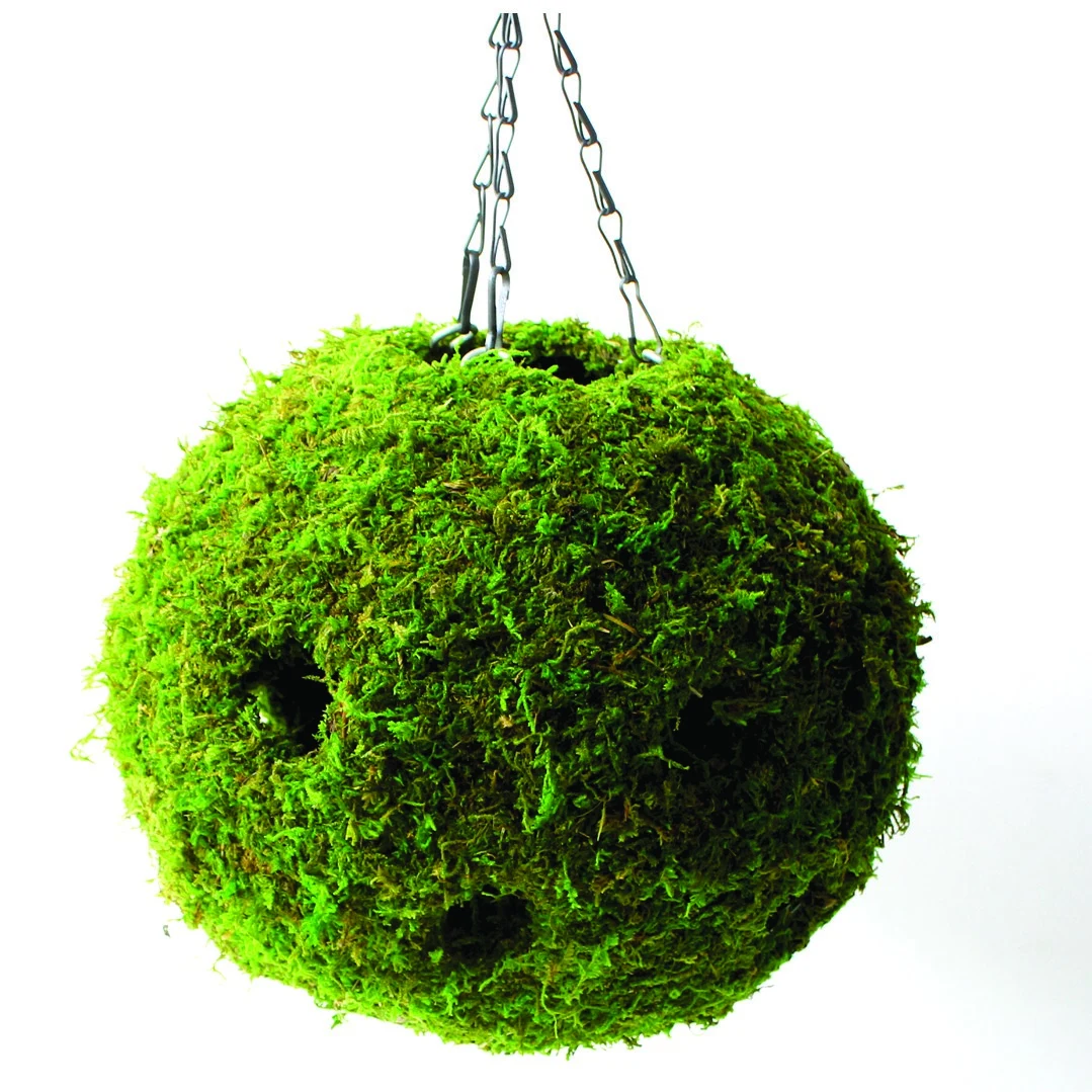 SUPER MOSS SuperMoss 12" Woven Moss Ball Planter — Single Unit