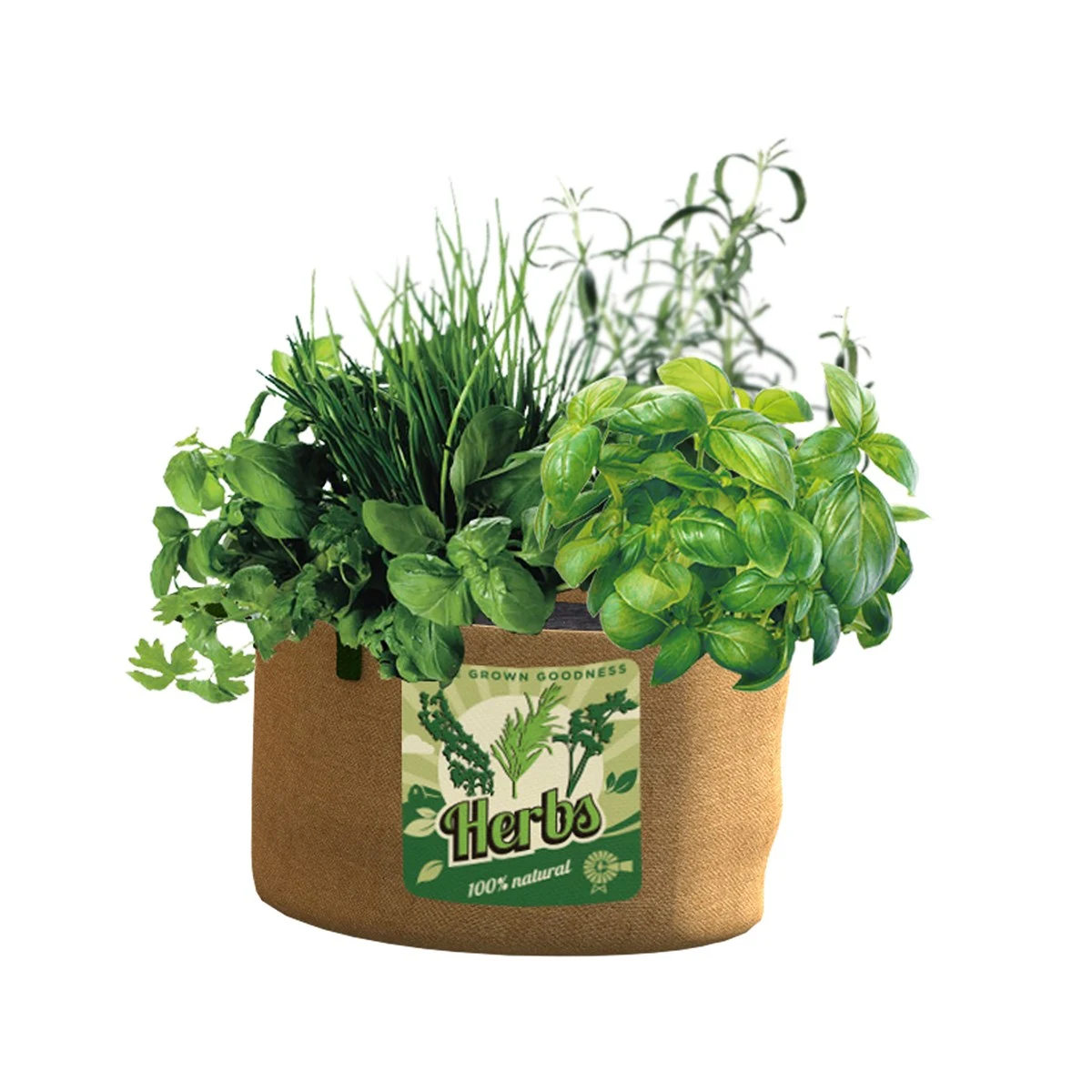 PANACEA PRODUCTS Panacea 5Gal Grow Bag Herbs — Single Unit
