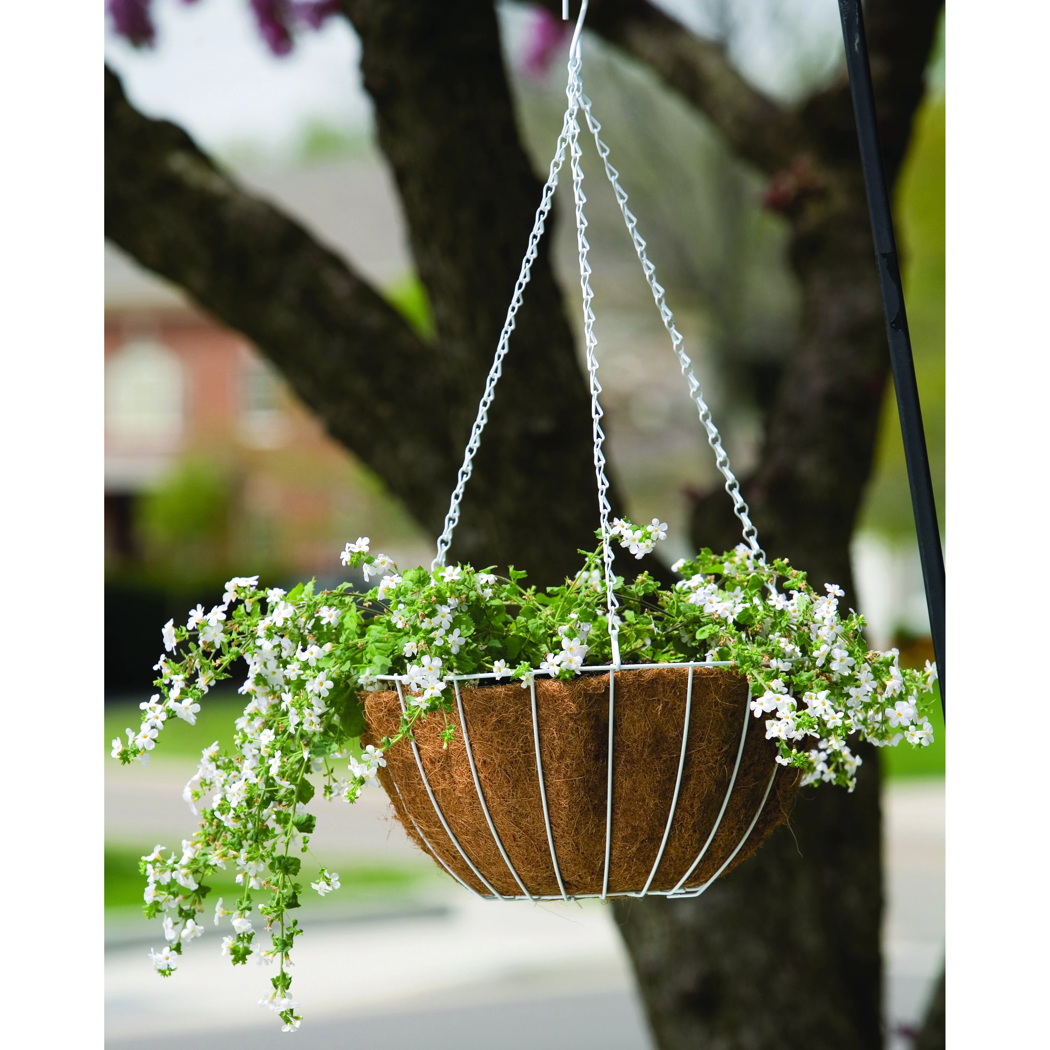 PANACEA PRODUCTS Pancea 14" Hanging Basket White Growers — Single Unit
