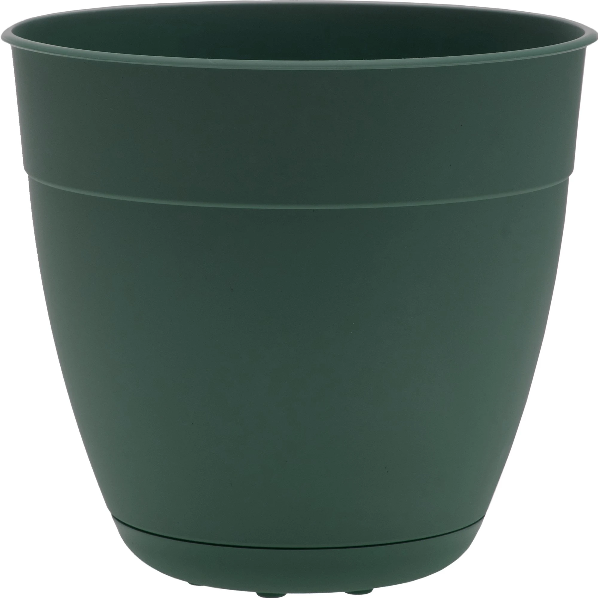 BLOEM, LLC Bloem 6" Dayton Planter Turtle Green — Single Unit