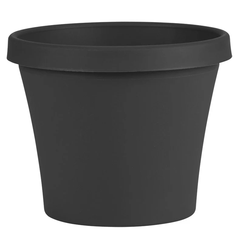 BLOEM, LLC Bloem 12" TerraPot Black — Single Unit