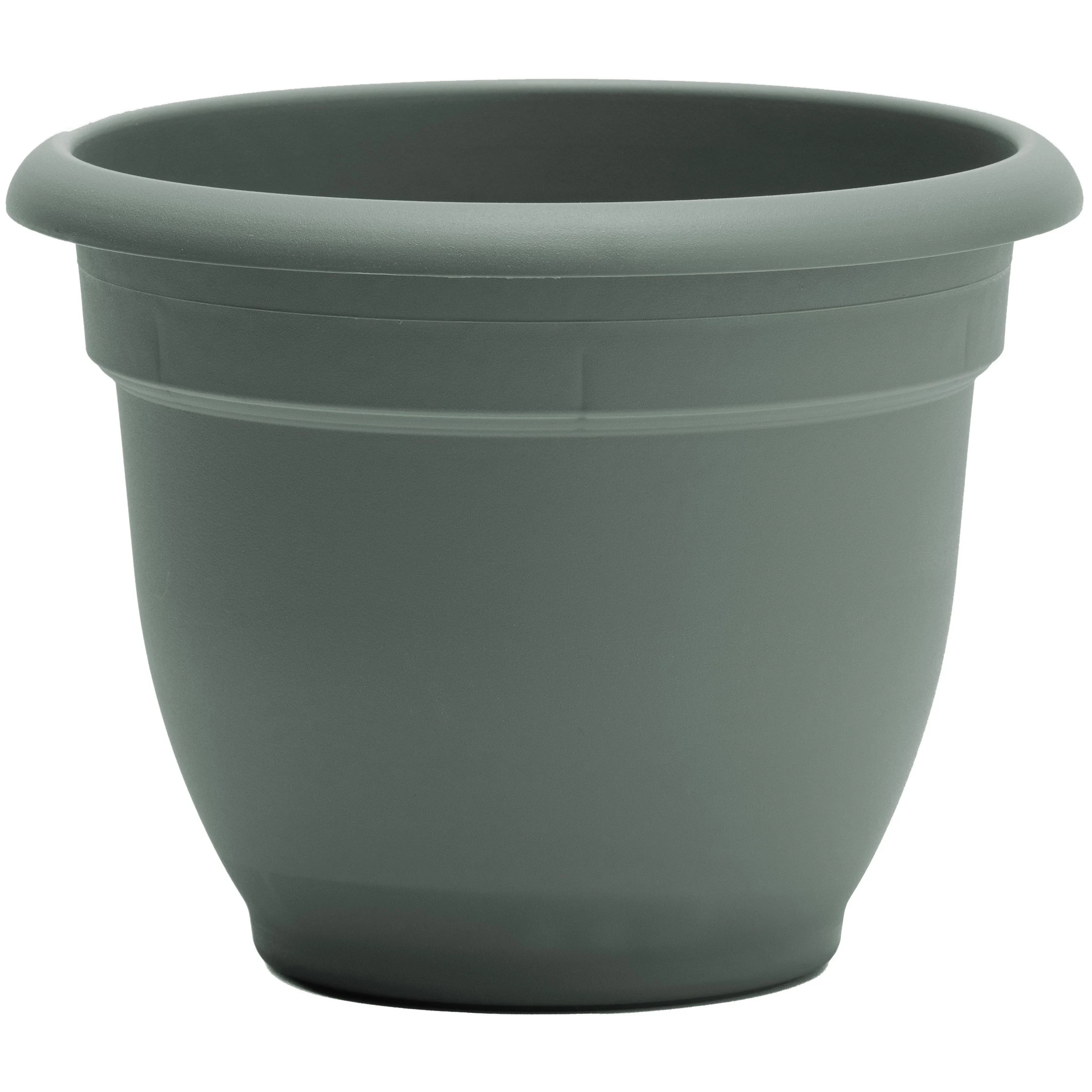 BLOEM, LLC Bloem 10" Ariana Planter Basil — Single Unit
