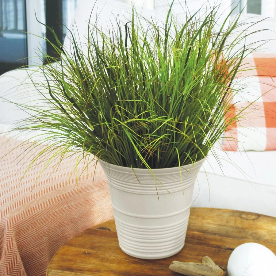 THE HC COMPANIES INC (MYERS) HC 7" Sedona Planter Cottage Stone — Single Unit