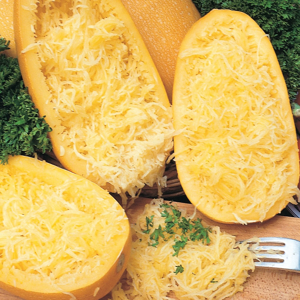 ILLINOIS FOUNDATION SEEDS, INC Squash, Vegetable Spaghetti 1/2lb — Single Unit