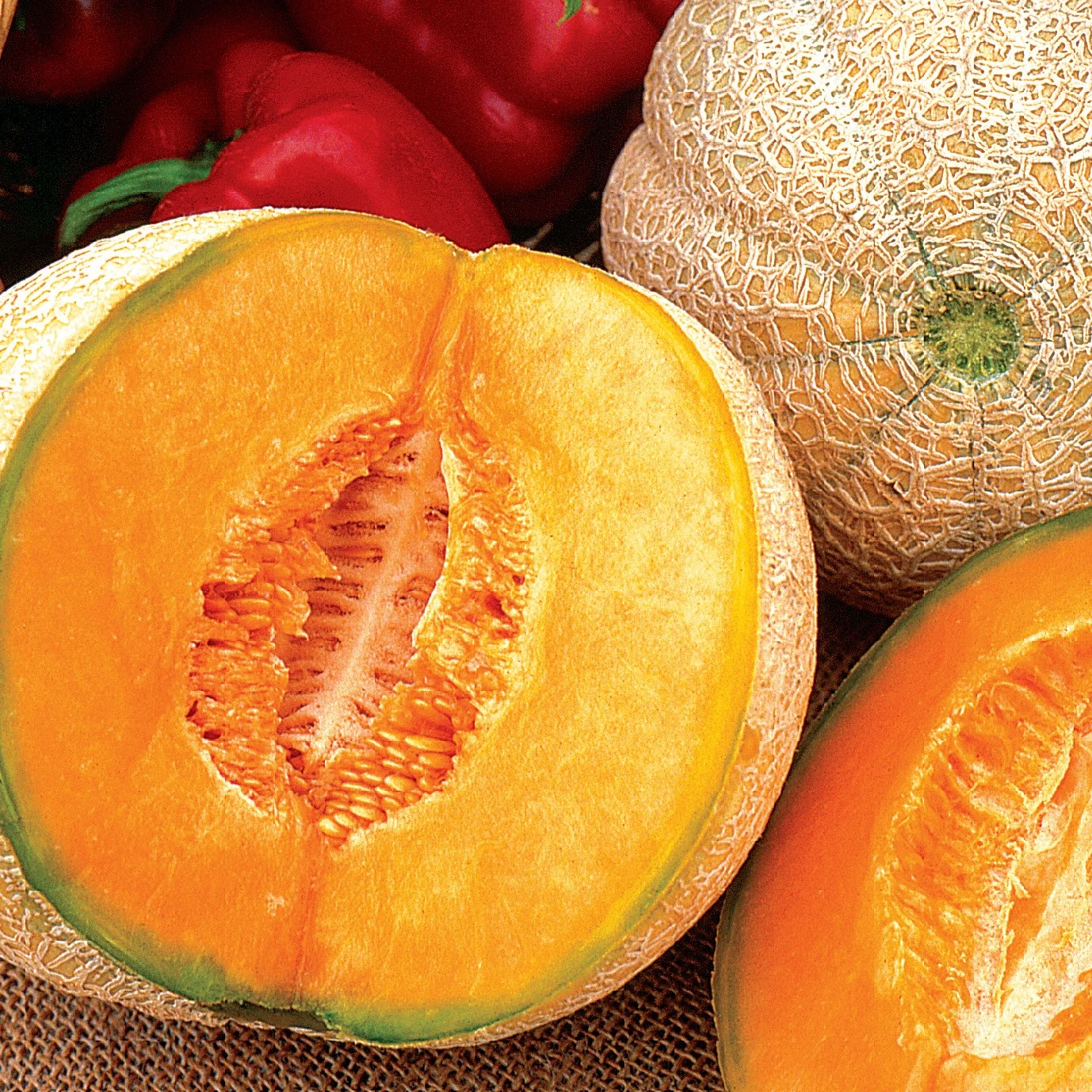 ILLINOIS FOUNDATION SEEDS, INC Cantaloupe, Honey Rock 1/2oz — Single Unit