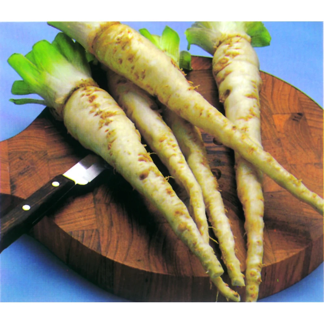WILD WEST SEED, INC Salsify, Mammoth Island 1lb — Single Unit
