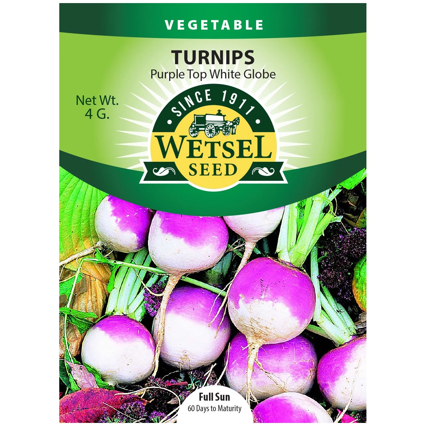 WETSELS PACKET SEEDS Turnips, Purple Top White Globe 4 Grams — Single Unit