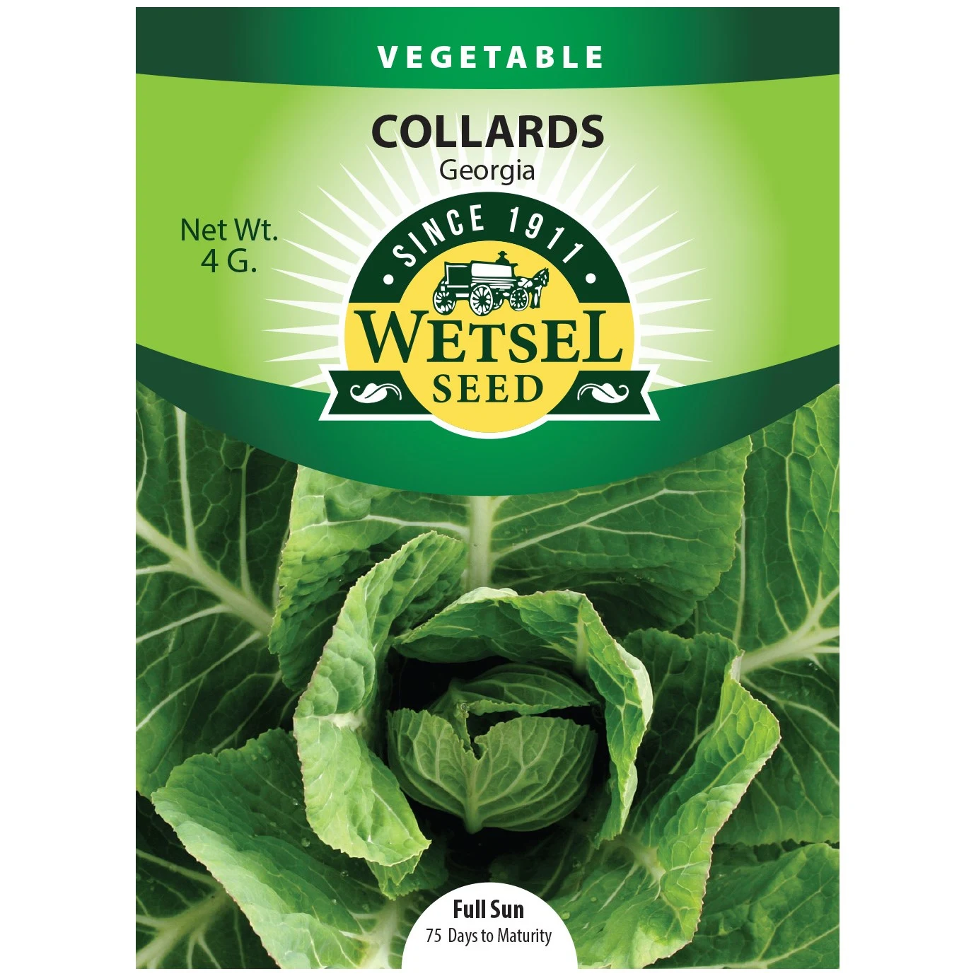 WETSELS PACKET SEEDS Collards, Georgia 4 Grams — Single Unit