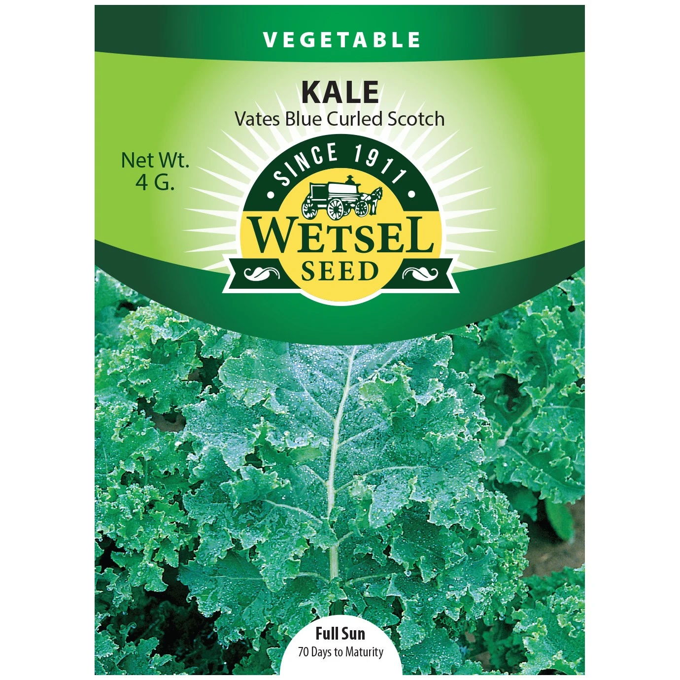 WETSELS PACKET SEEDS Kale, Vates Blue Curled Scotch 4 Grams — Single Unit