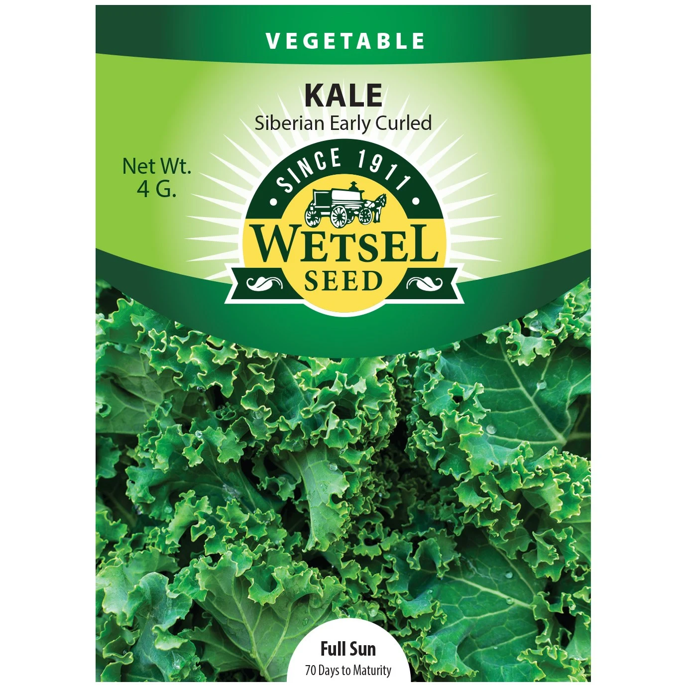 WETSELS PACKET SEEDS Kale, Early Curled Siberian 4 Grams — Single Unit