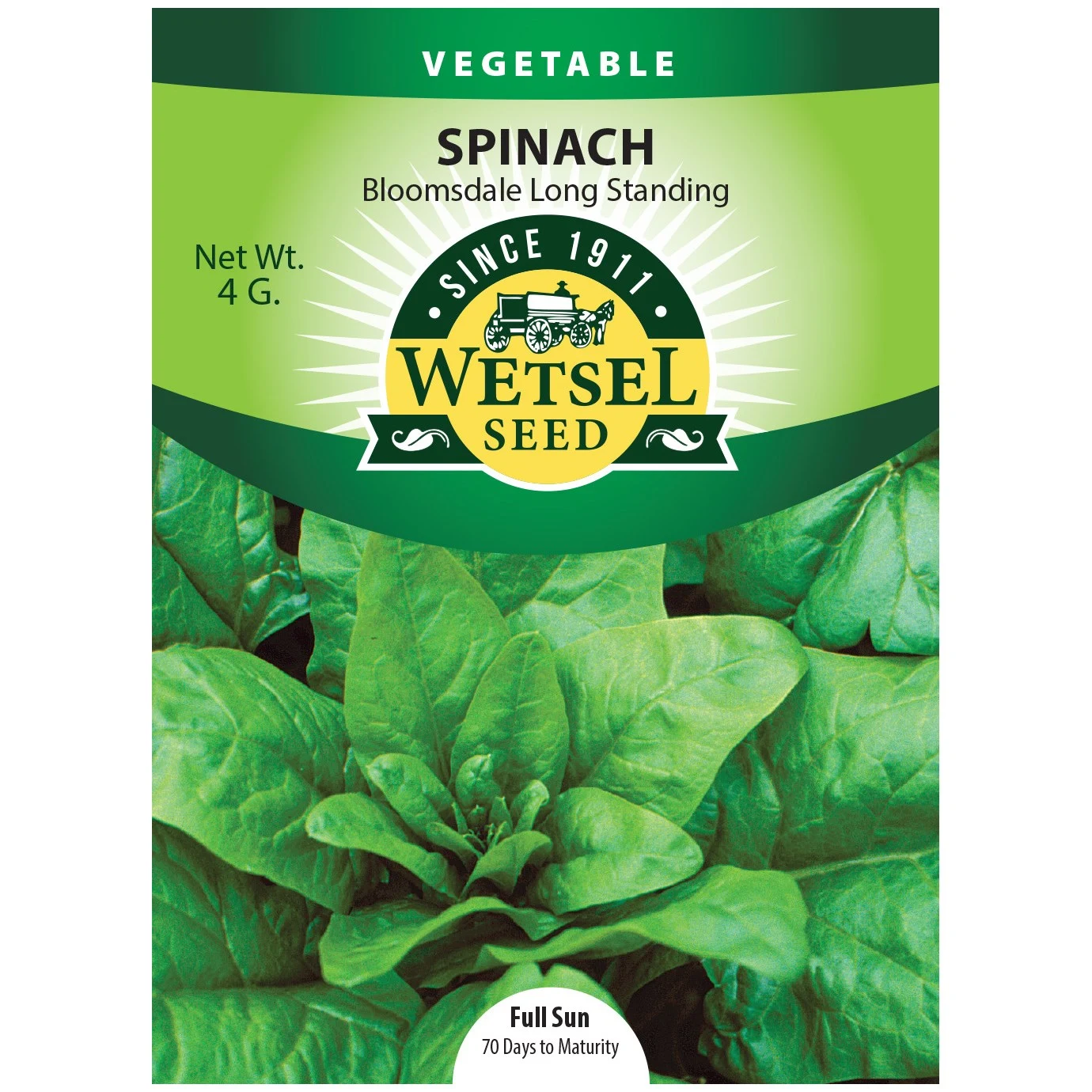 WETSELS PACKET SEEDS Spinach, Bloomsdale Long Standing 4 Grams — Single Unit