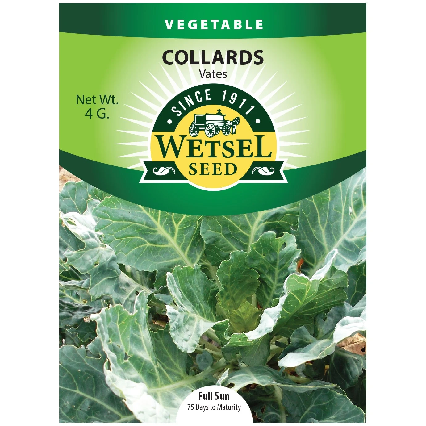 WETSELS PACKET SEEDS Collards, Vates 4 Grams — Single Unit