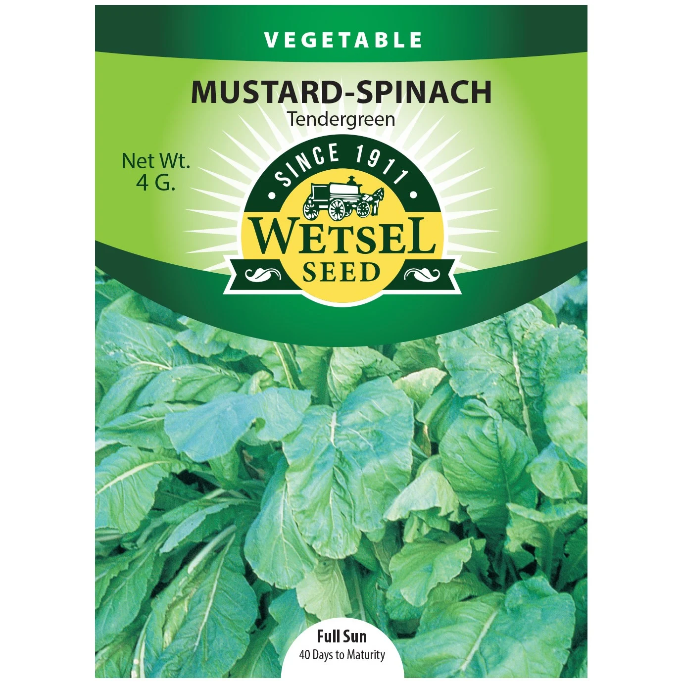 WETSELS PACKET SEEDS Mustard Spinach, Tendergreen 4 Grams — Single Unit