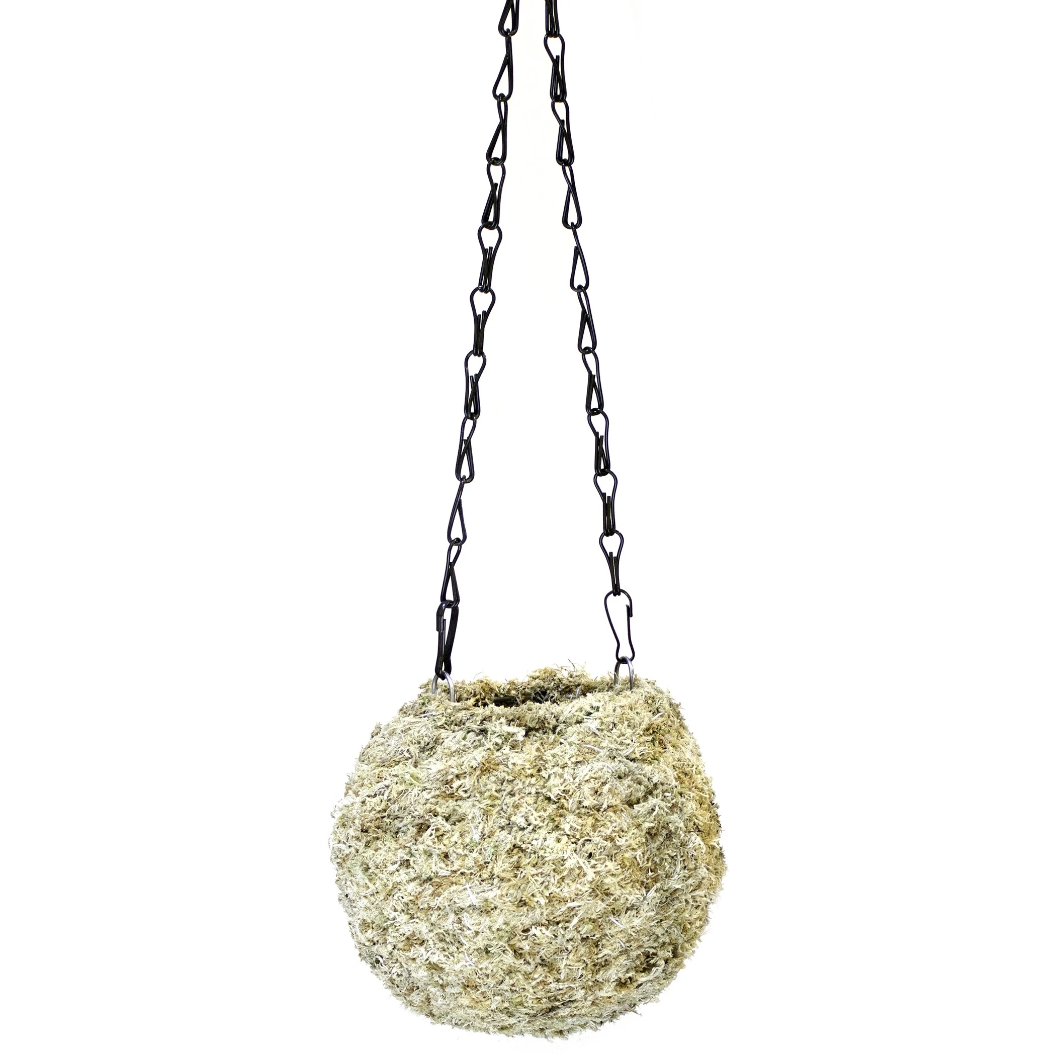 SUPER MOSS SuperMoss 6" Kokedama Blond Sphagnum Ball Planter — Single Unit