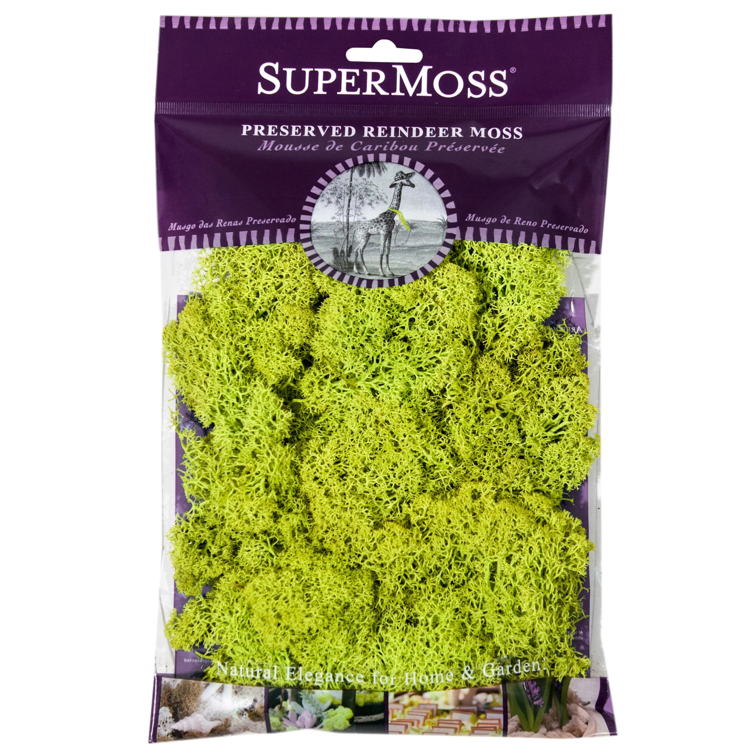 SUPER MOSS SuperMoss 2oz Reindeer Moss Chartreuse — Single Unit