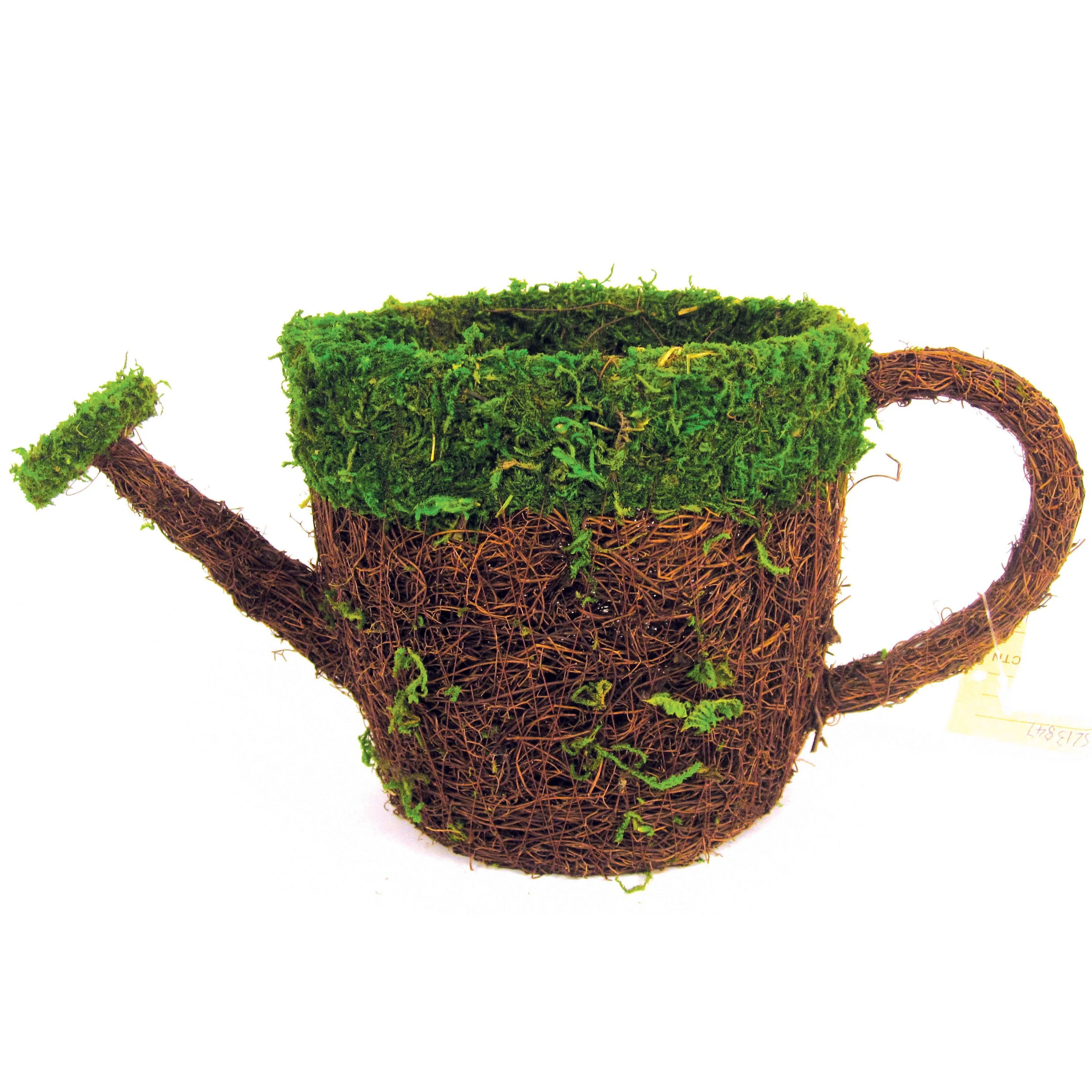 SUPER MOSS SuperMoss Deco Water Can Medium — Single Unit
