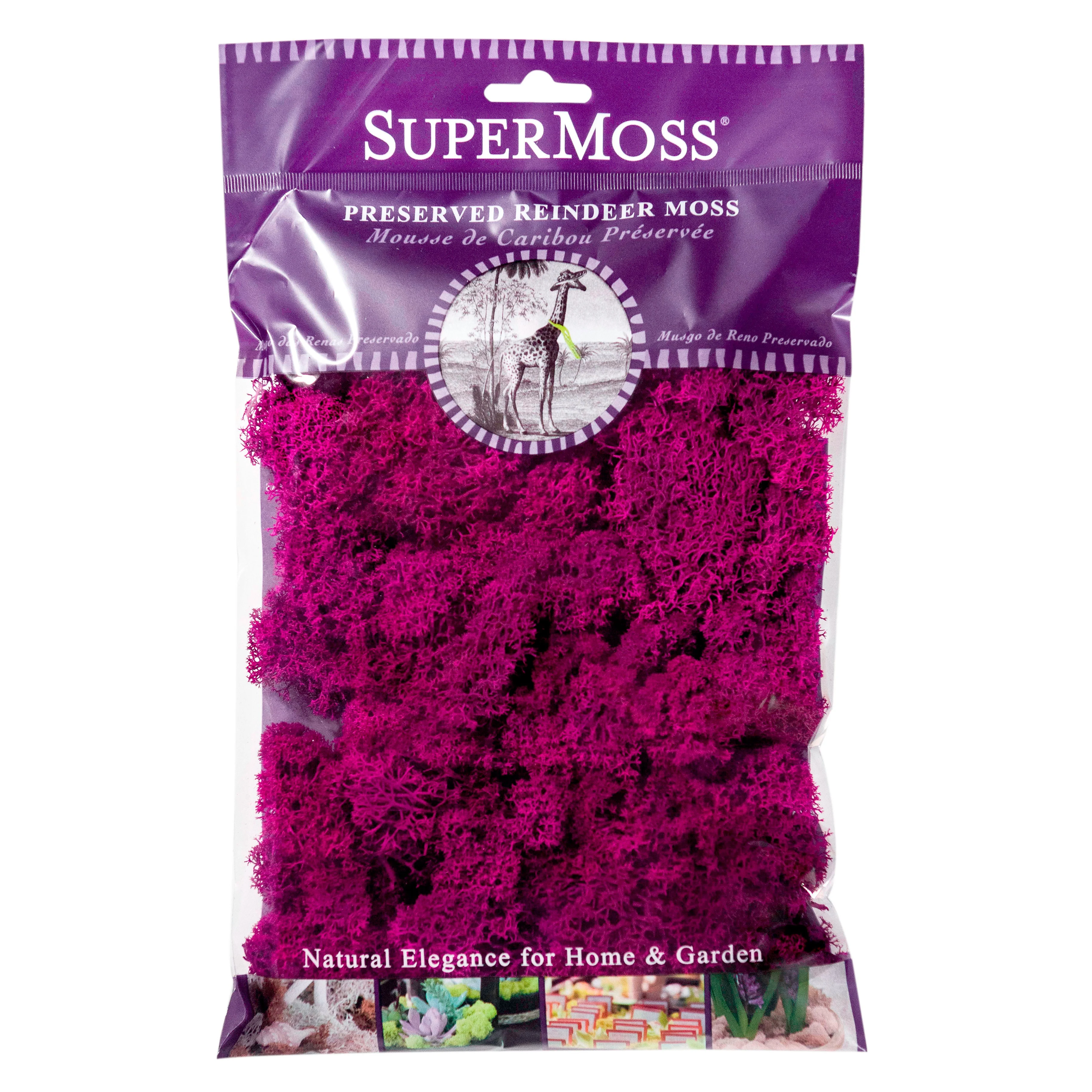 SUPER MOSS SuperMoss 2oz Reindeer Moss Fuchsia — Single Unit
