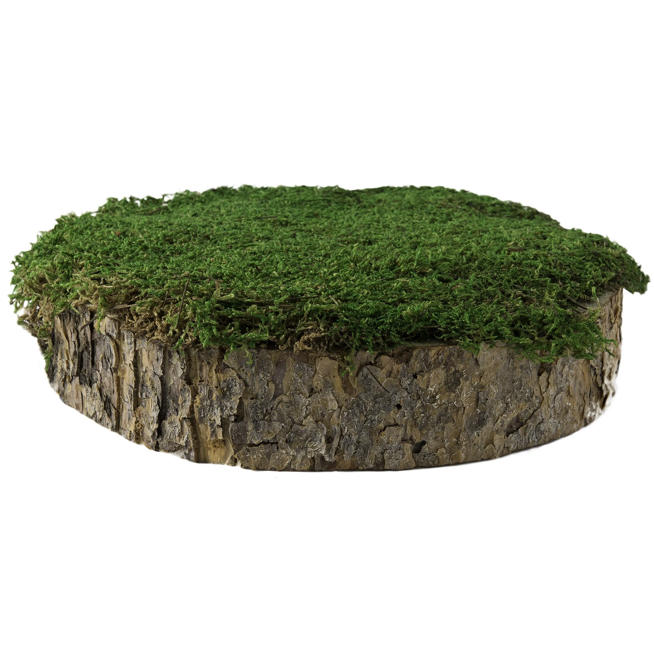 SUPER MOSS SuperMoss 2" MossyTree Stump Fresh Green — Single Unit