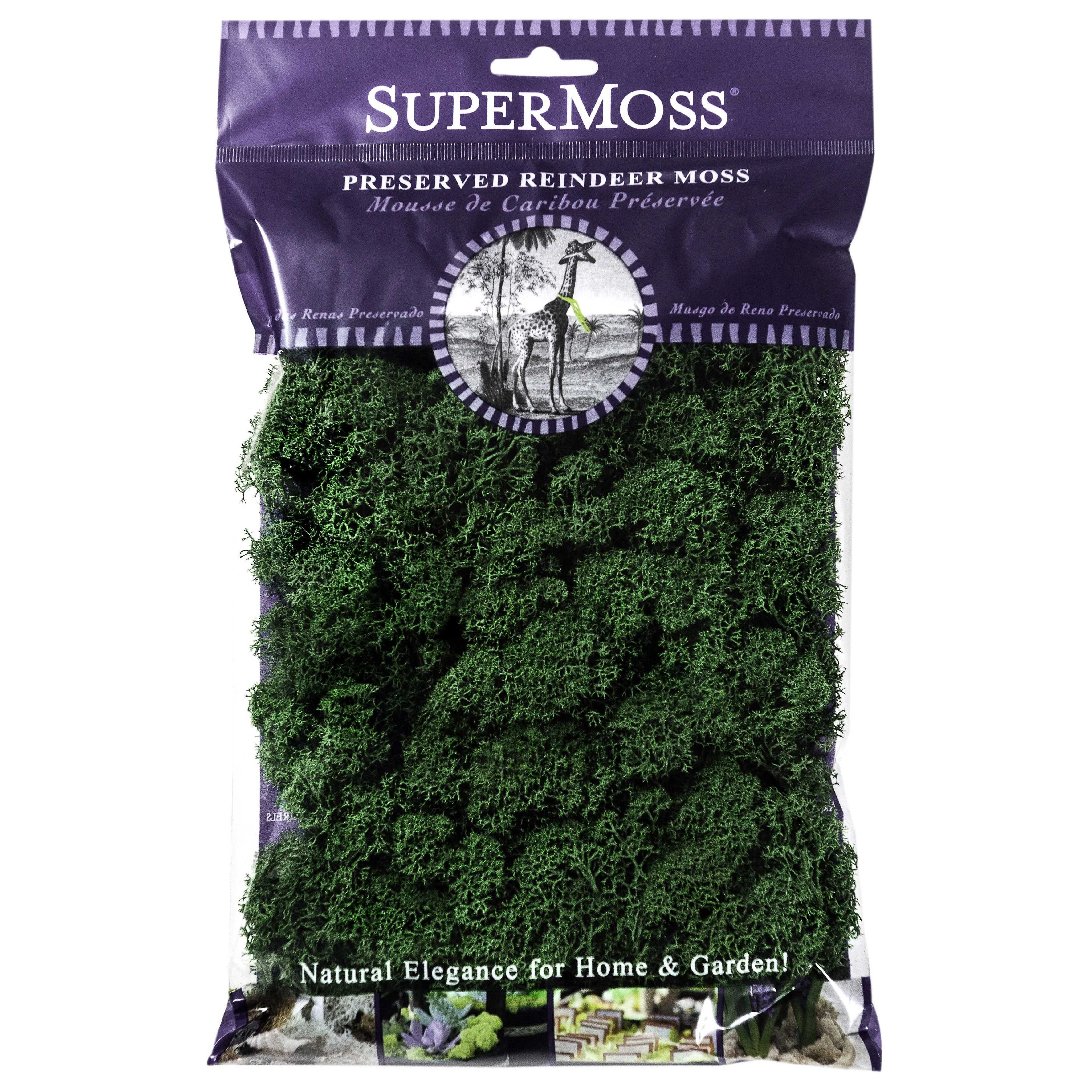 SUPER MOSS SuperMoss 2oz Reindeer Moss Forest — Single Unit