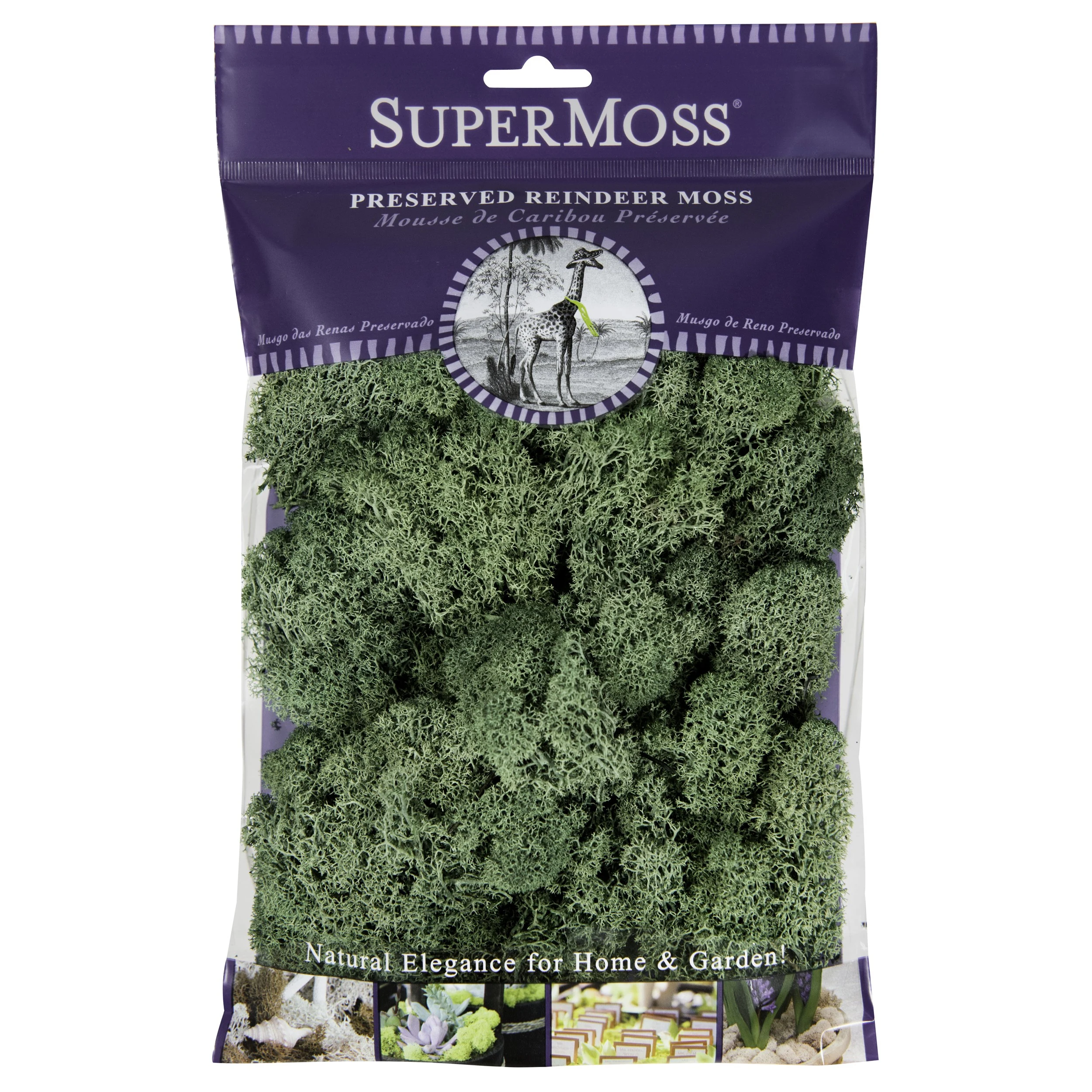 SUPER MOSS SuperMoss 2oz Reindeer Moss Moss Green — Single Unit