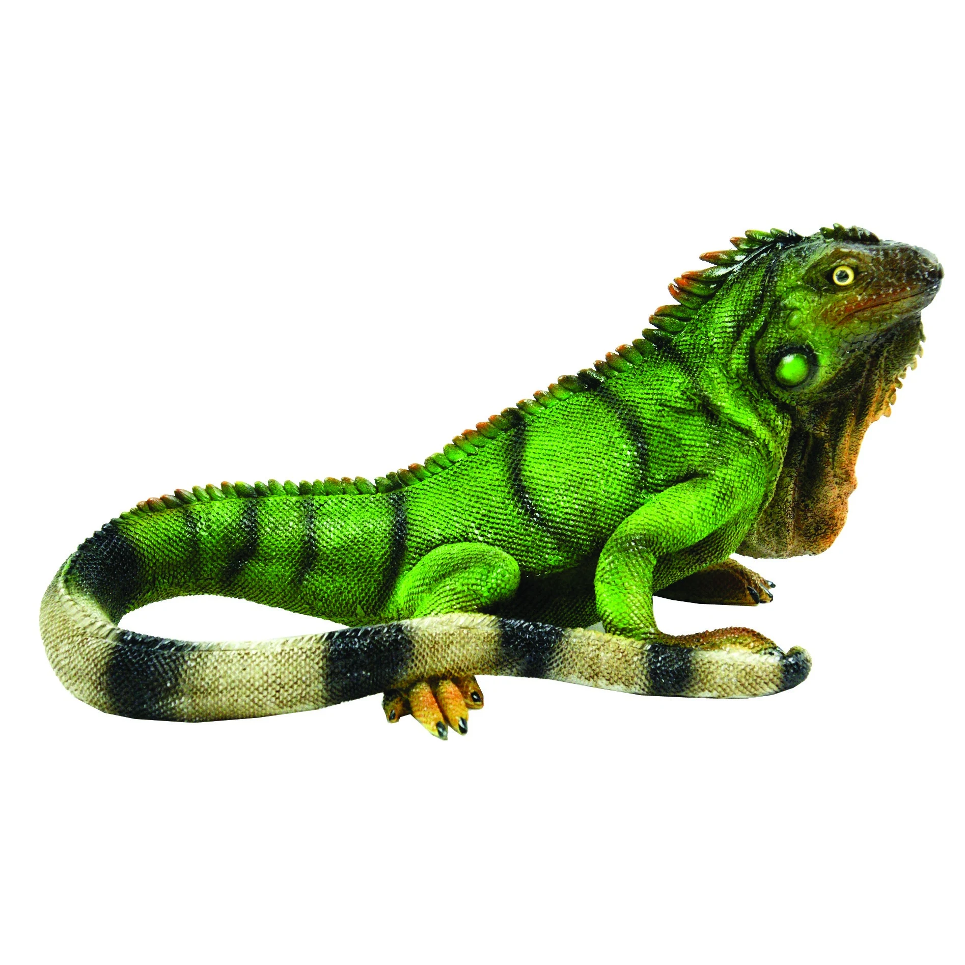 BRIGHT OCEAN INTERNATIONAL LTD MCarr Iguana Medium — Single Unit