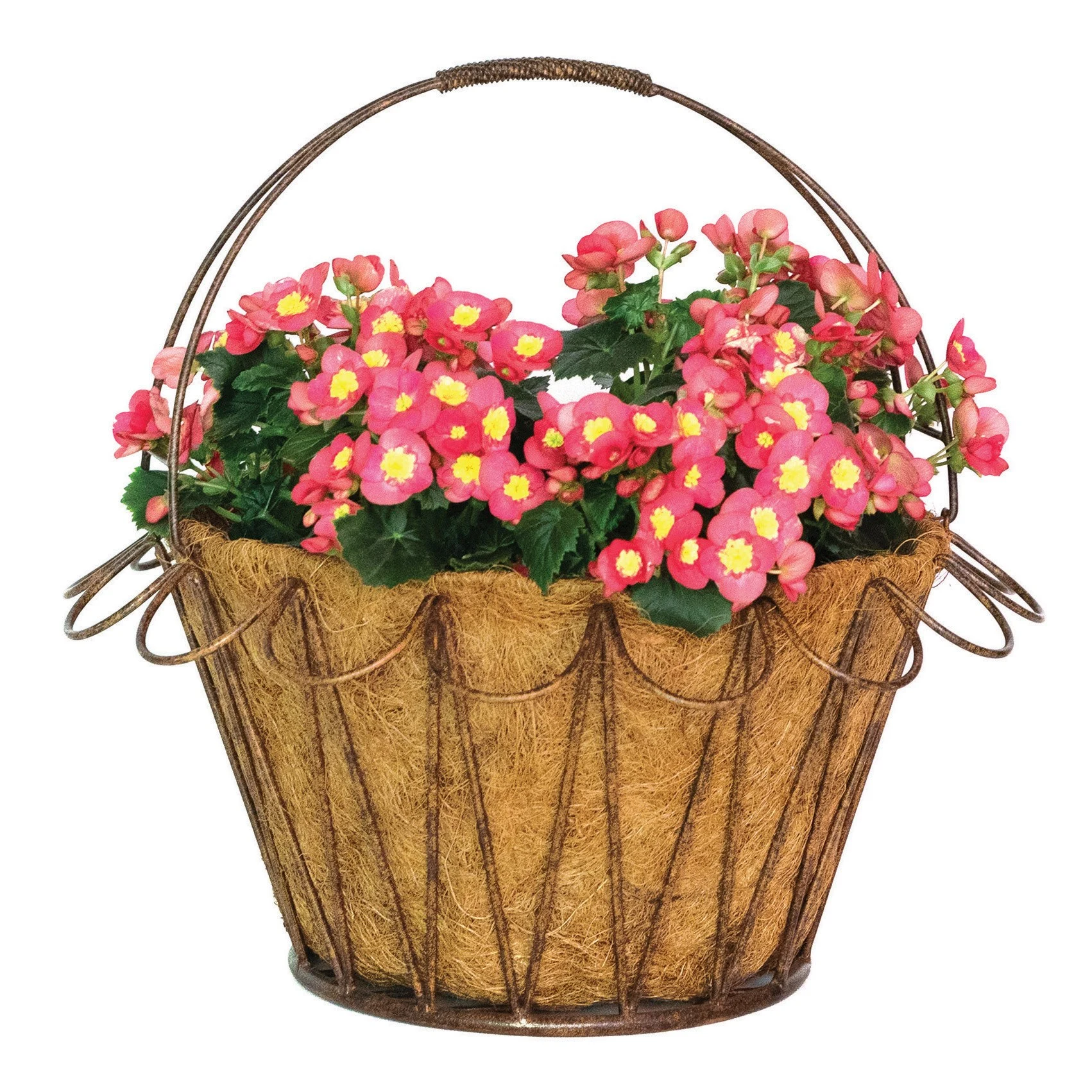 DEER PARK IRONWORKS Deer Park Wave Basket w/ Coco Liner — Single Unit