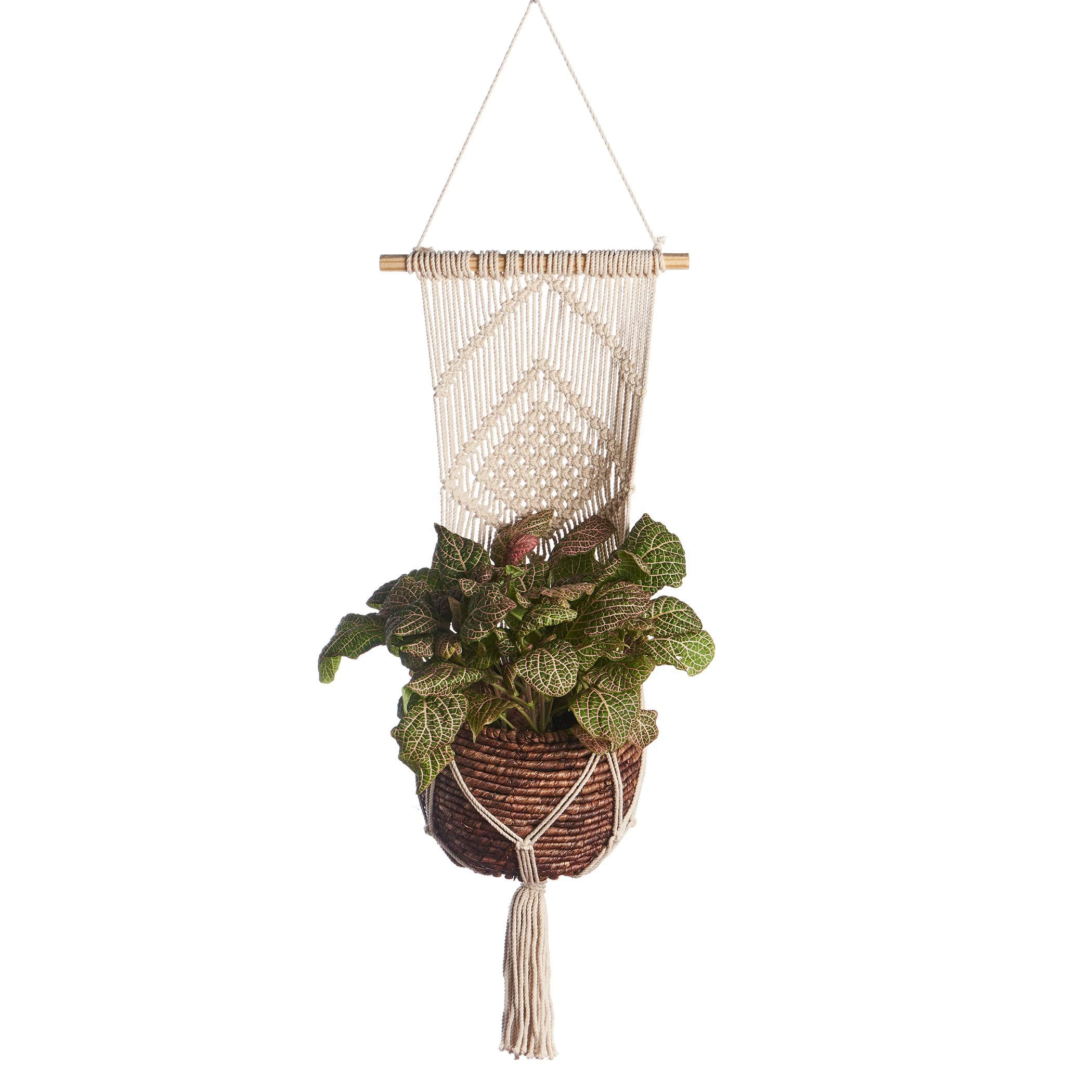 PRIMITIVE PLANTERS Primitive Large Wall Planter Diamond — Single Unit