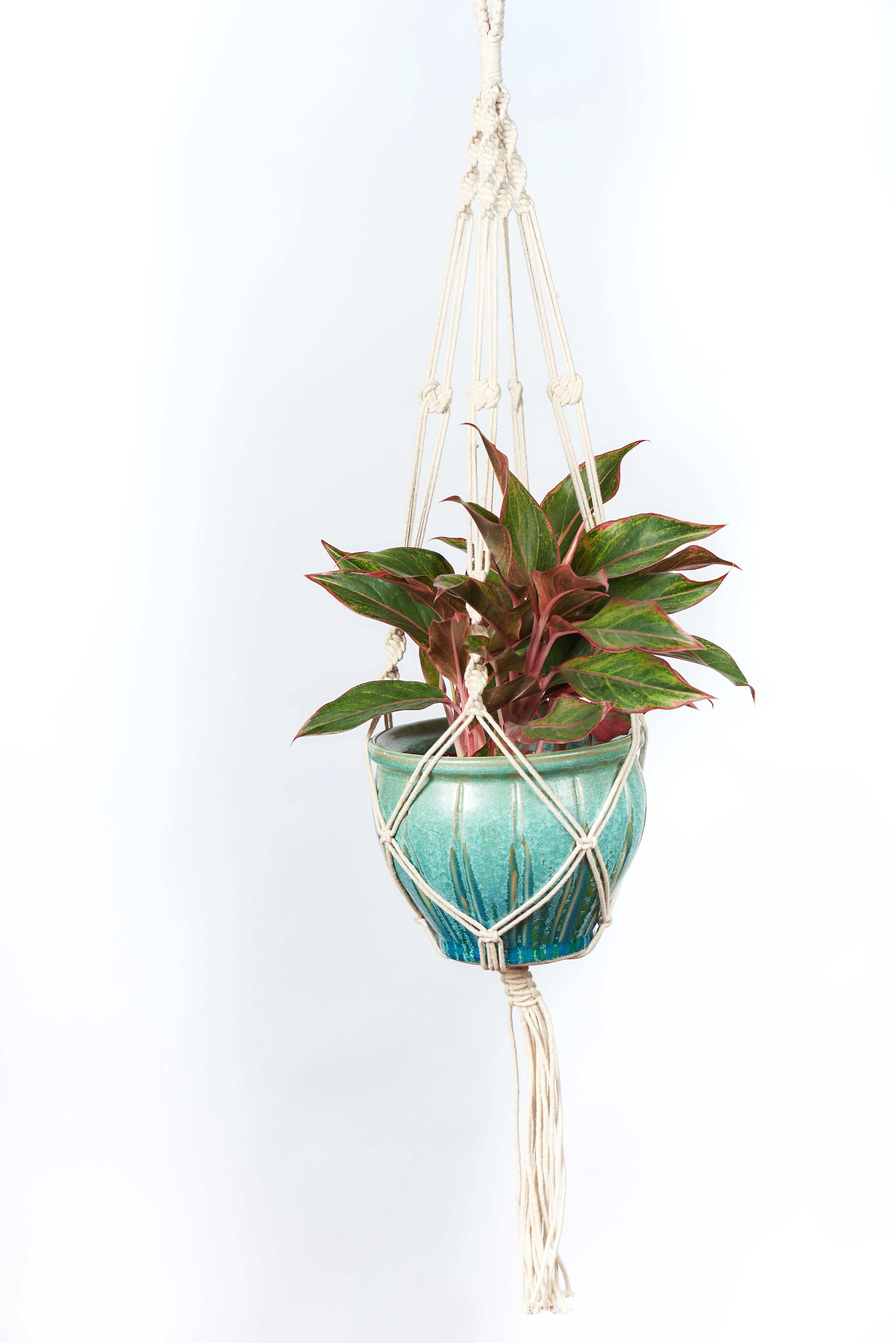PRIMITIVE PLANTERS Primitive 42" Cotton Woven Hanger Plain Cord — Single Unit