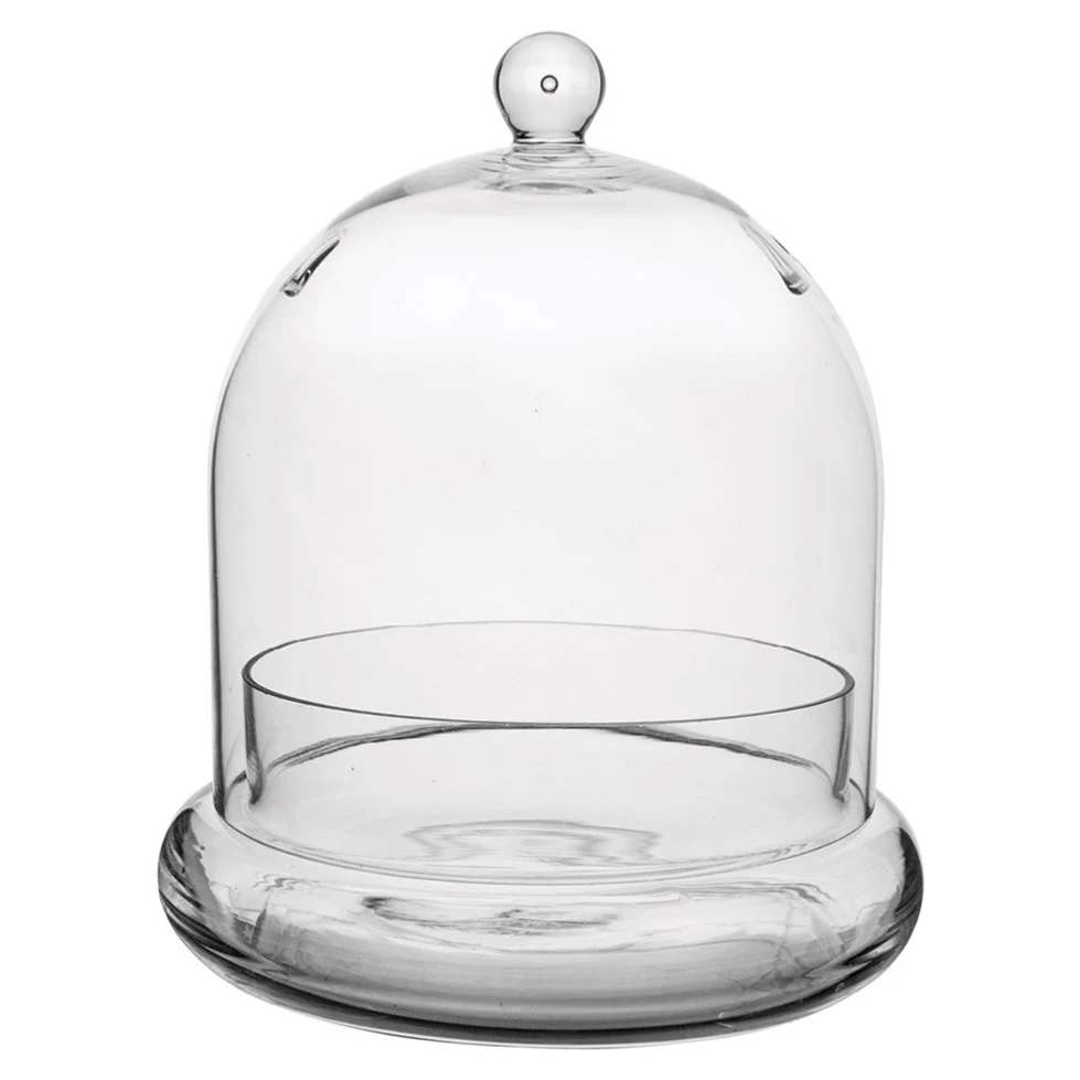 STEADYGROWPRO / SYNDICATE SALE SSI 7" x 8 1/4" Terrarium Cloche — Single Unit