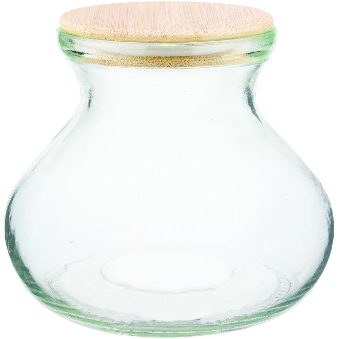 STEADYGROWPRO / SYNDICATE SALE SSI 6" Vase Terrarium with Lid & Light — Single Unit