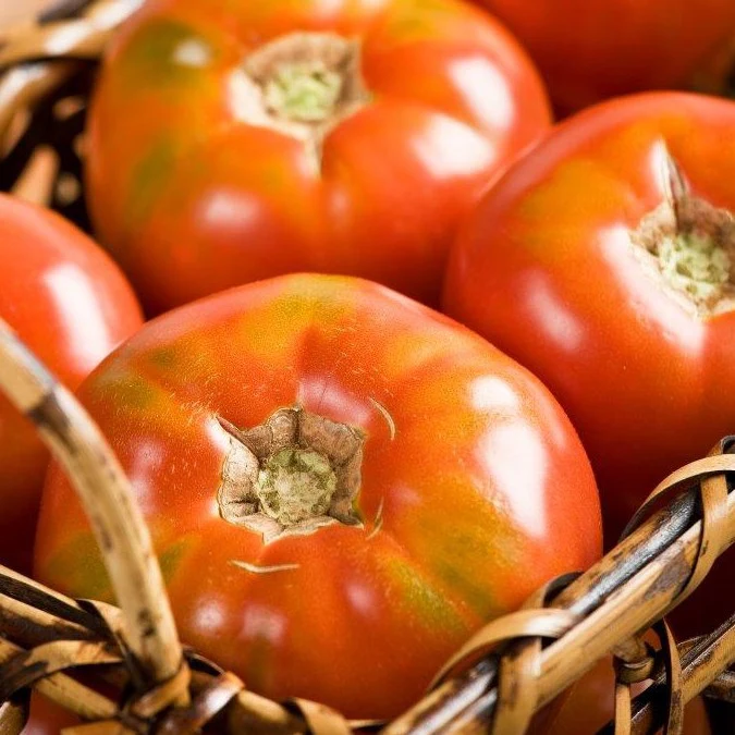 SEMINIS VEGETABLE SEEDS INC Tomato, Burpees Big Boy Treated 1000 Seed Count — Single Unit