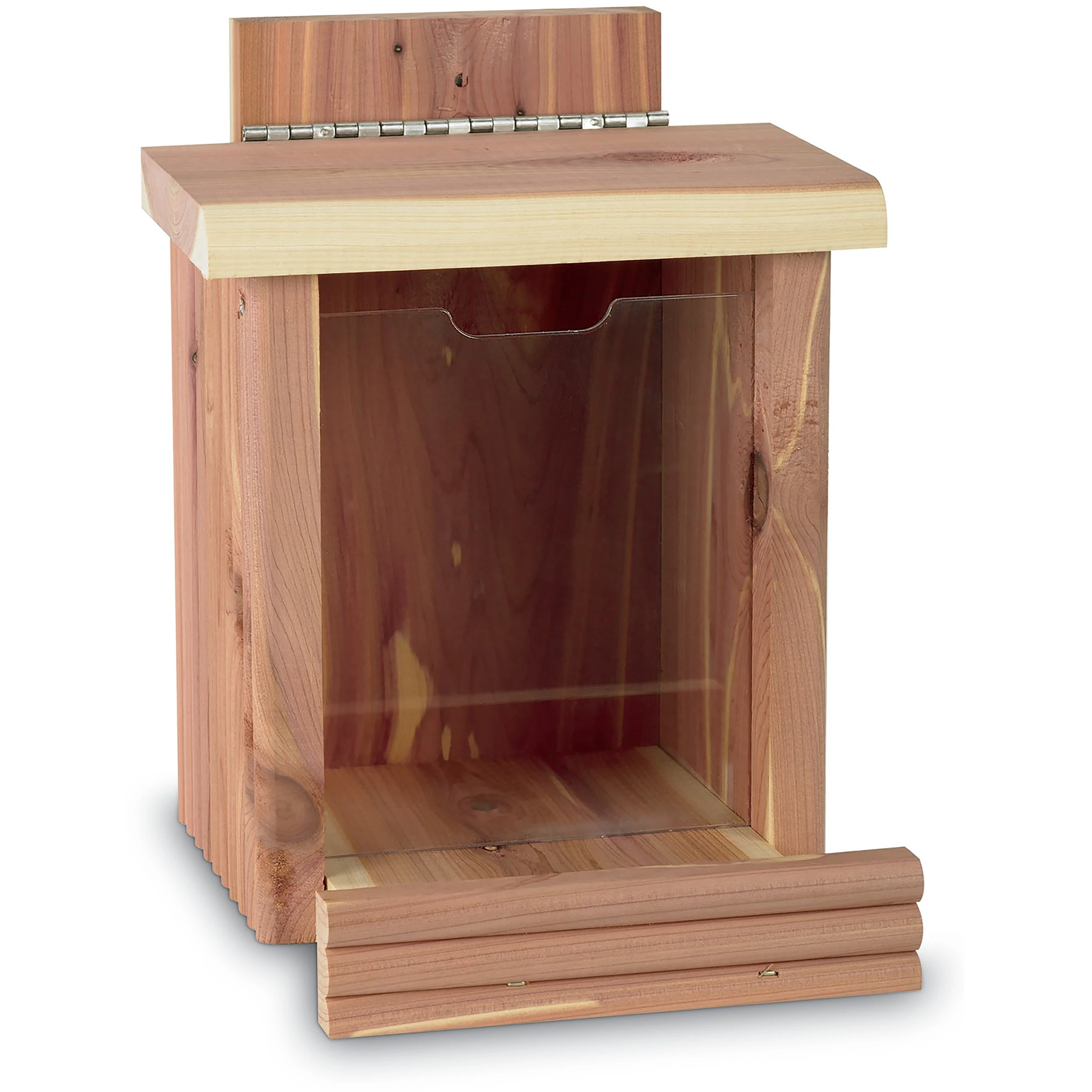 CEDAR WORKS Pennington Cedar Squirrel Snacker — Single Unit