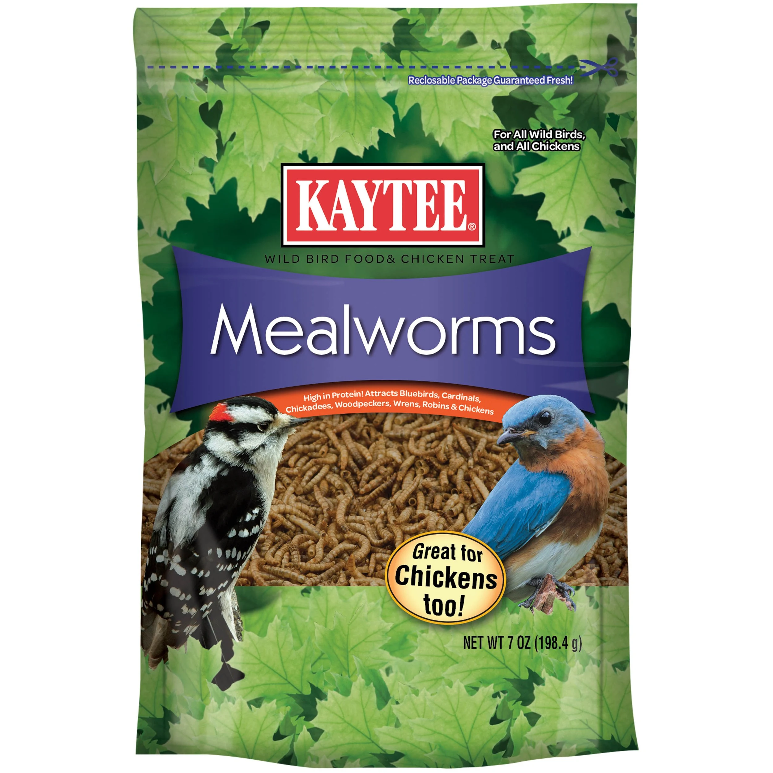 CENTRAL AVIAN AND SMALL ANIMAL Kaytee 7oz Mealworm Food Pouch for Wild Birds — Single Unit
