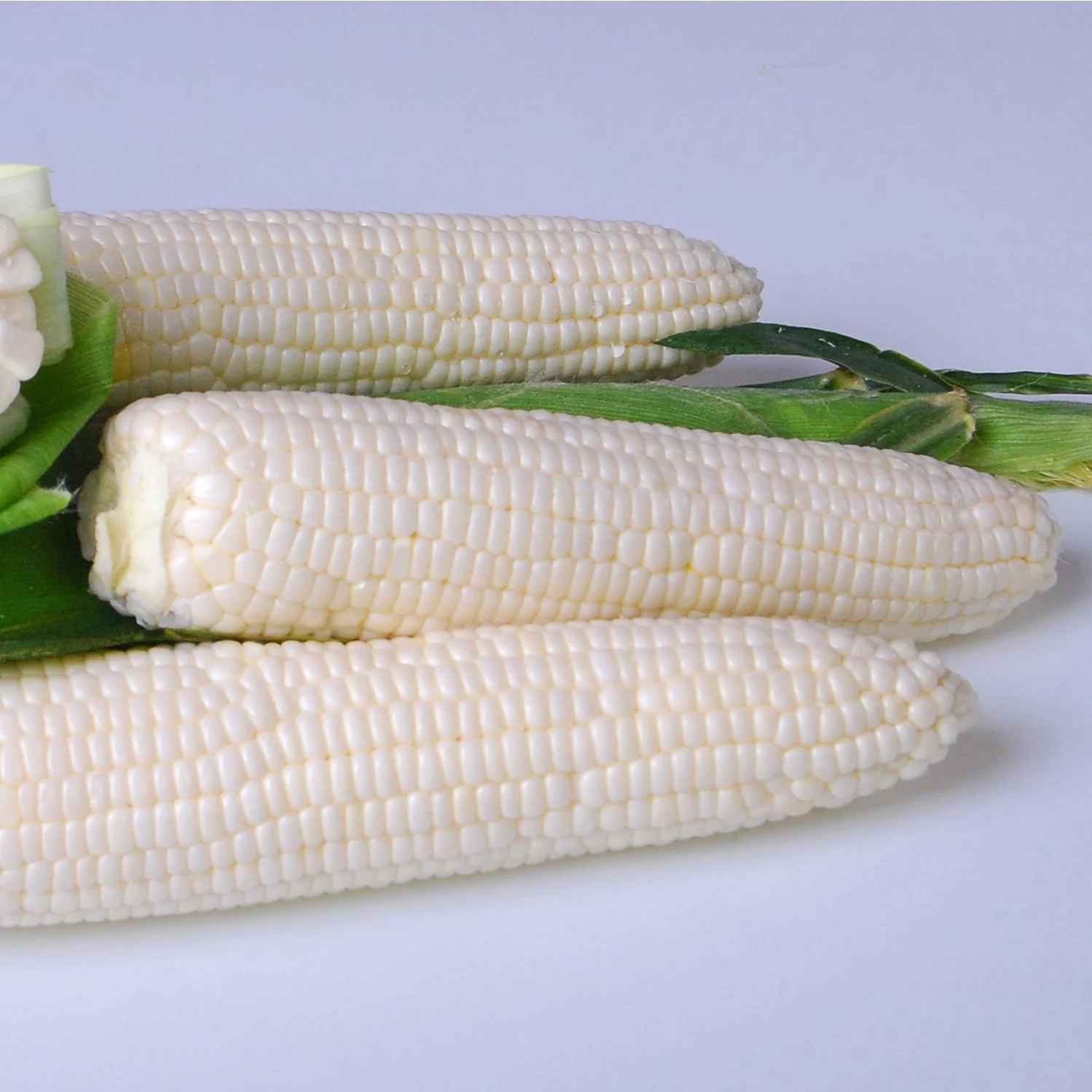 CROOKHAM CO. Corn, Argent 1lb — Single Unit