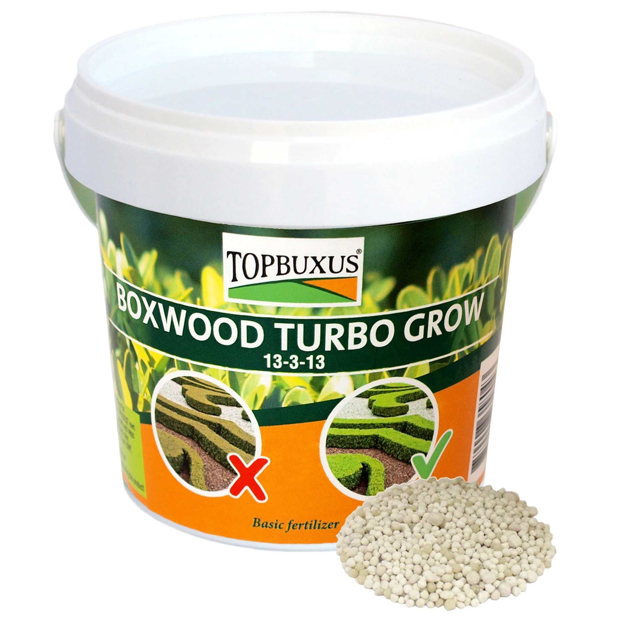 TOPBUXUS 1lb Boxwood Turbo Grow Orange Bucket — Single Unit