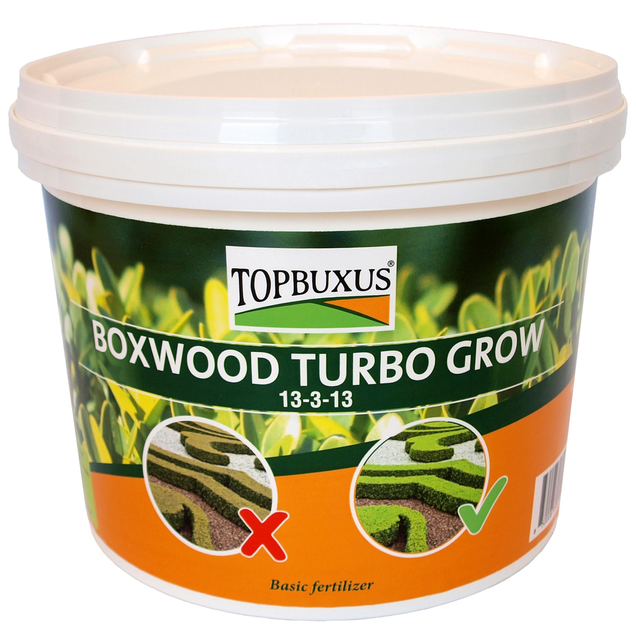 TOPBUXUS 10lb Boxwood Turbo Grow Orange Bucket — Single Unit