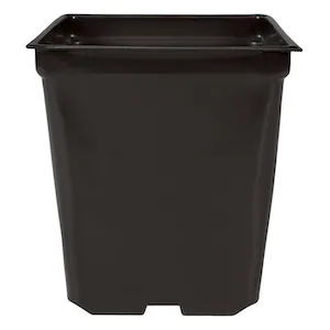 Toledo Indoor Garden 5'' x 5'' x 4.5'' Square 1.25qt Square Pot