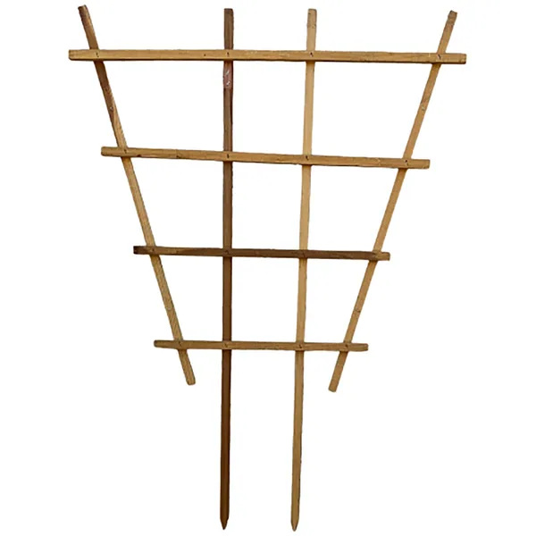 A&G Agricultural A&G 3'x4' Fan Espalier Trellis