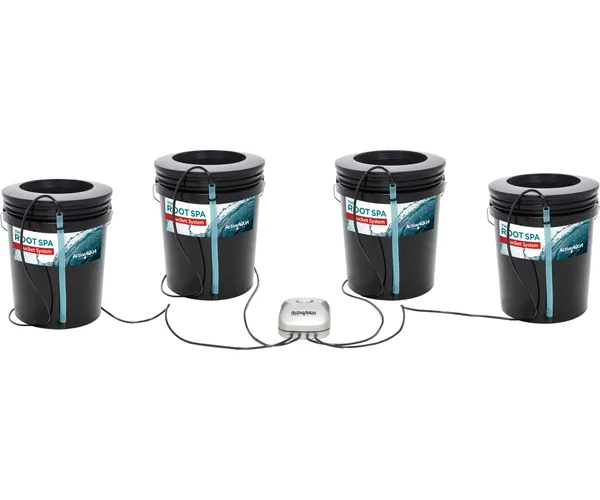 Active Aqua Root Spa